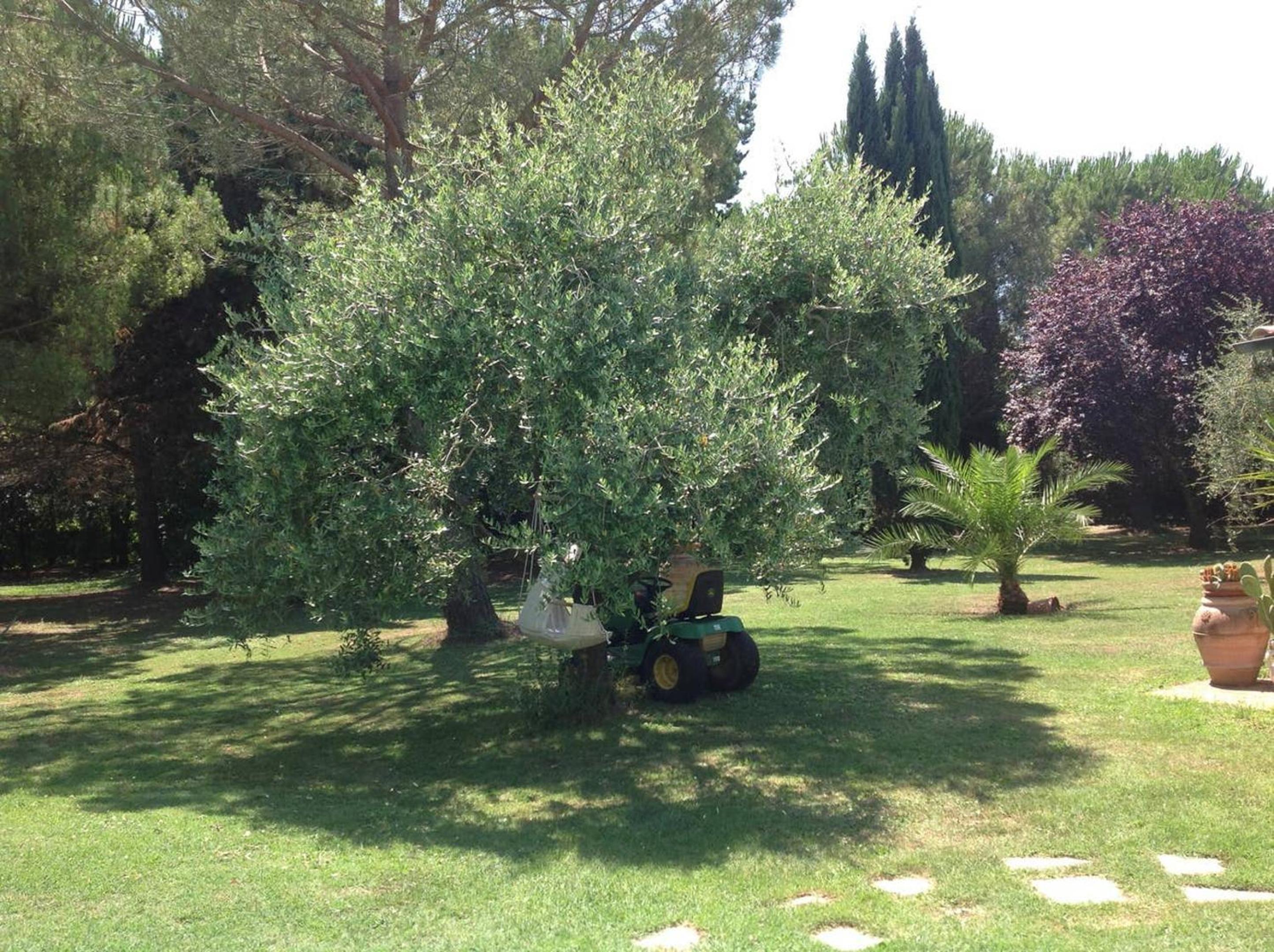 Charming Villa in Pisa with terrace and shared pool. view 4