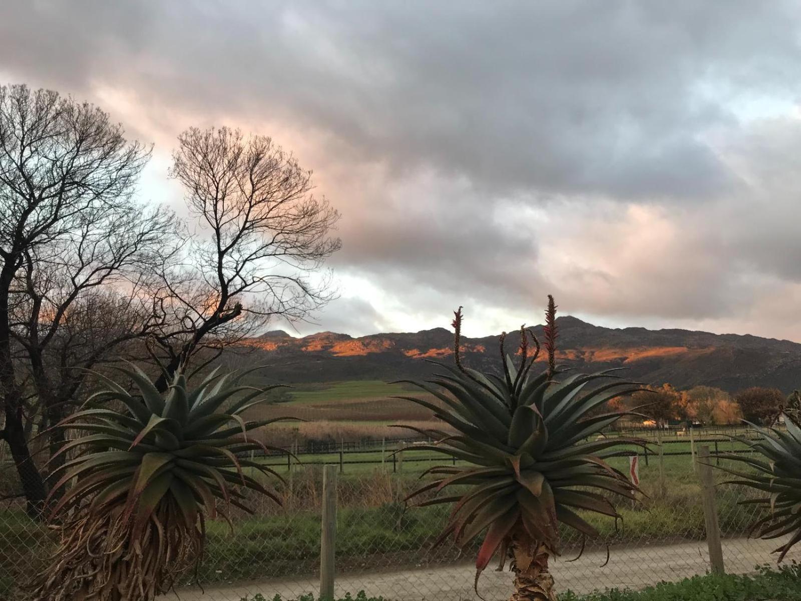 Rietspruit Country Cottage view 2