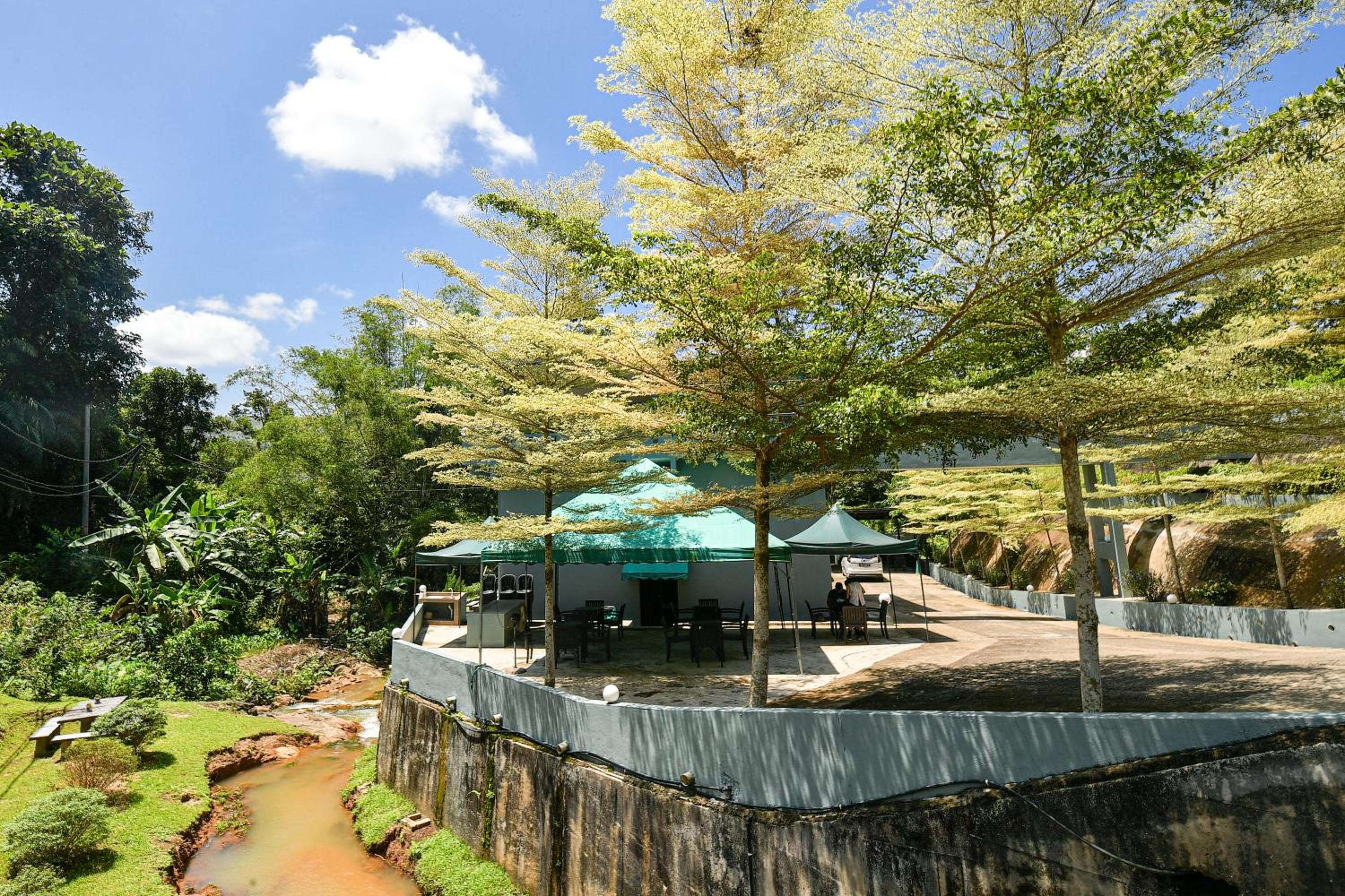 Green Peace Sungai Lembing