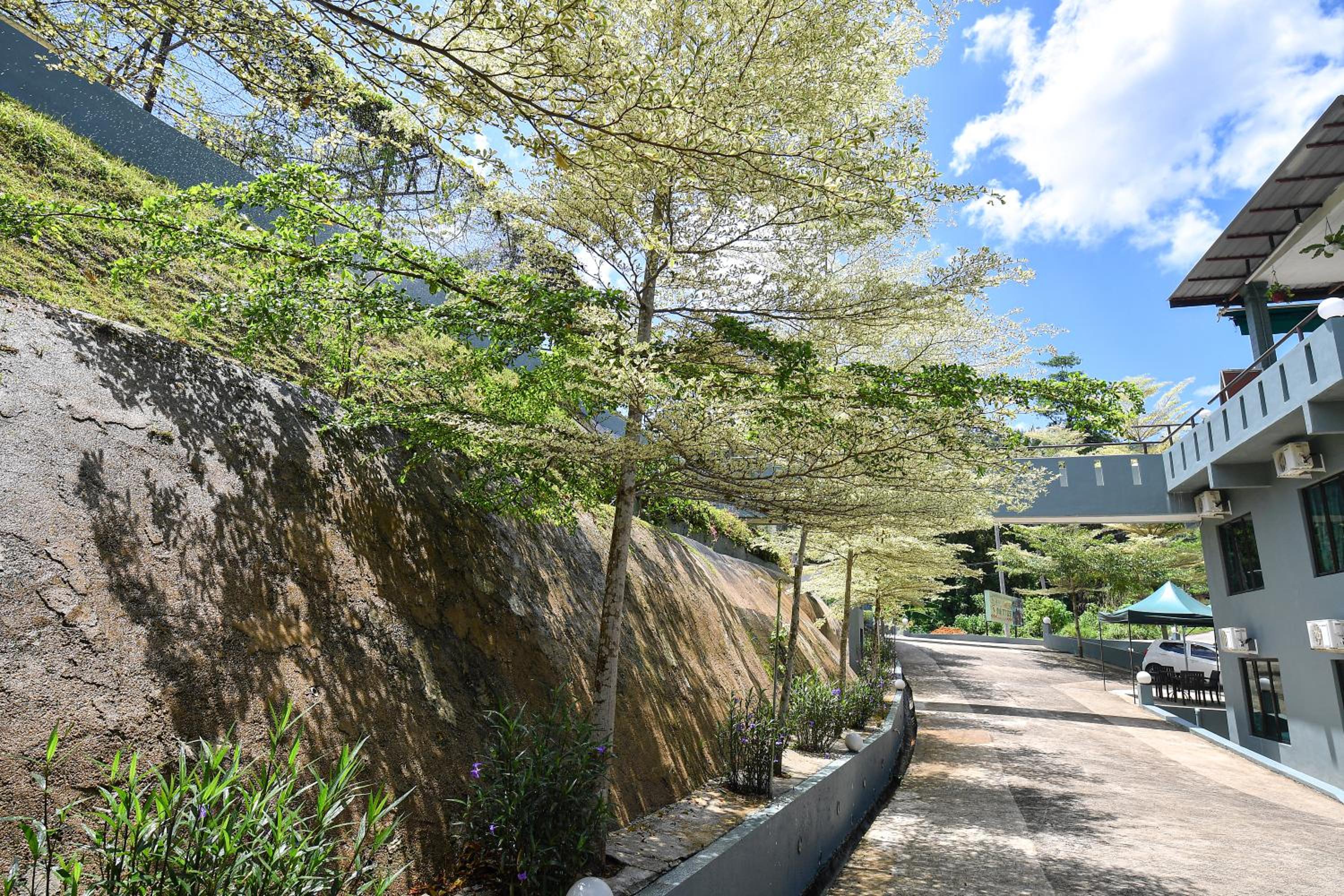 Green Peace Sungai Lembing