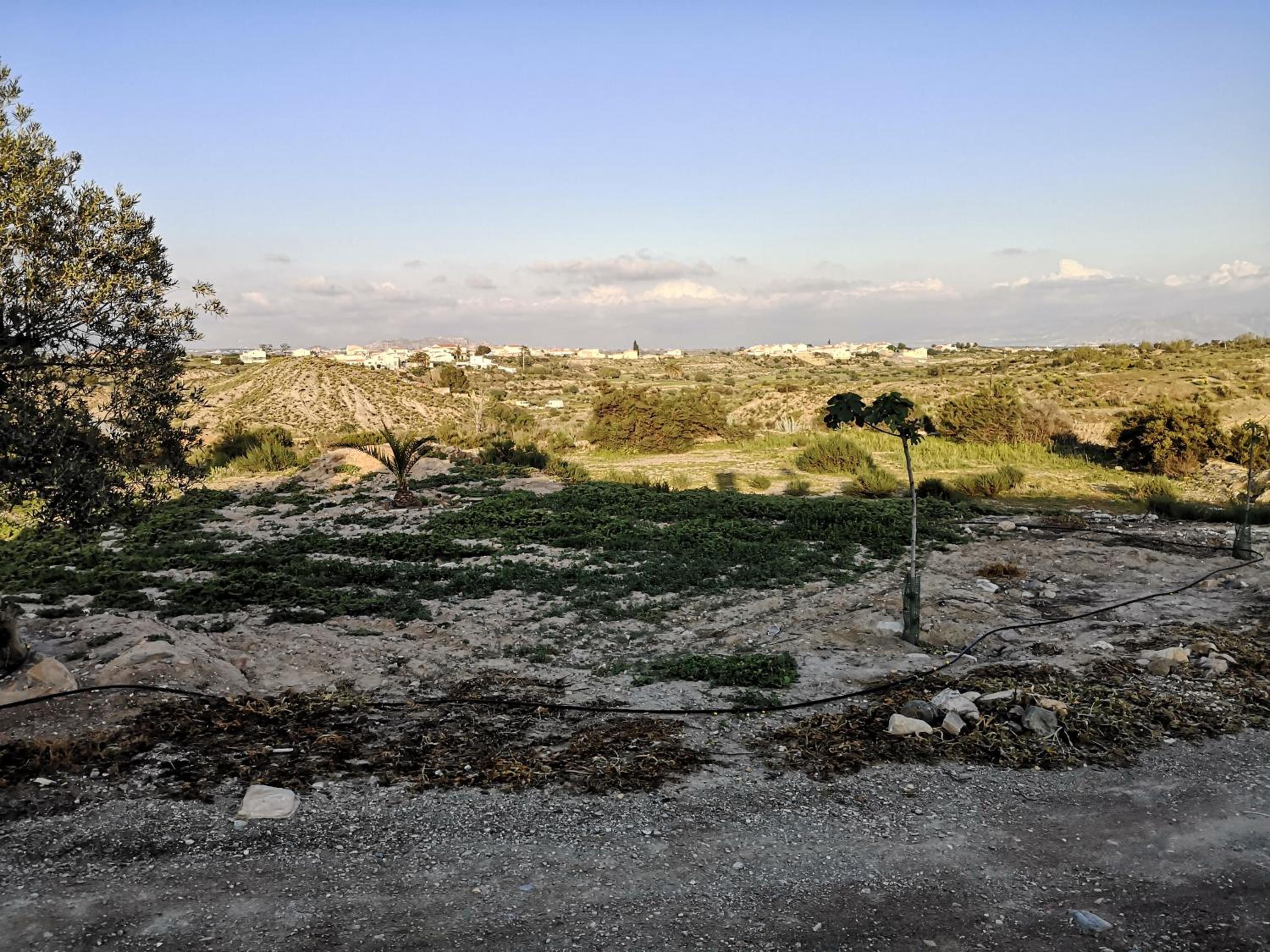 Photo 26