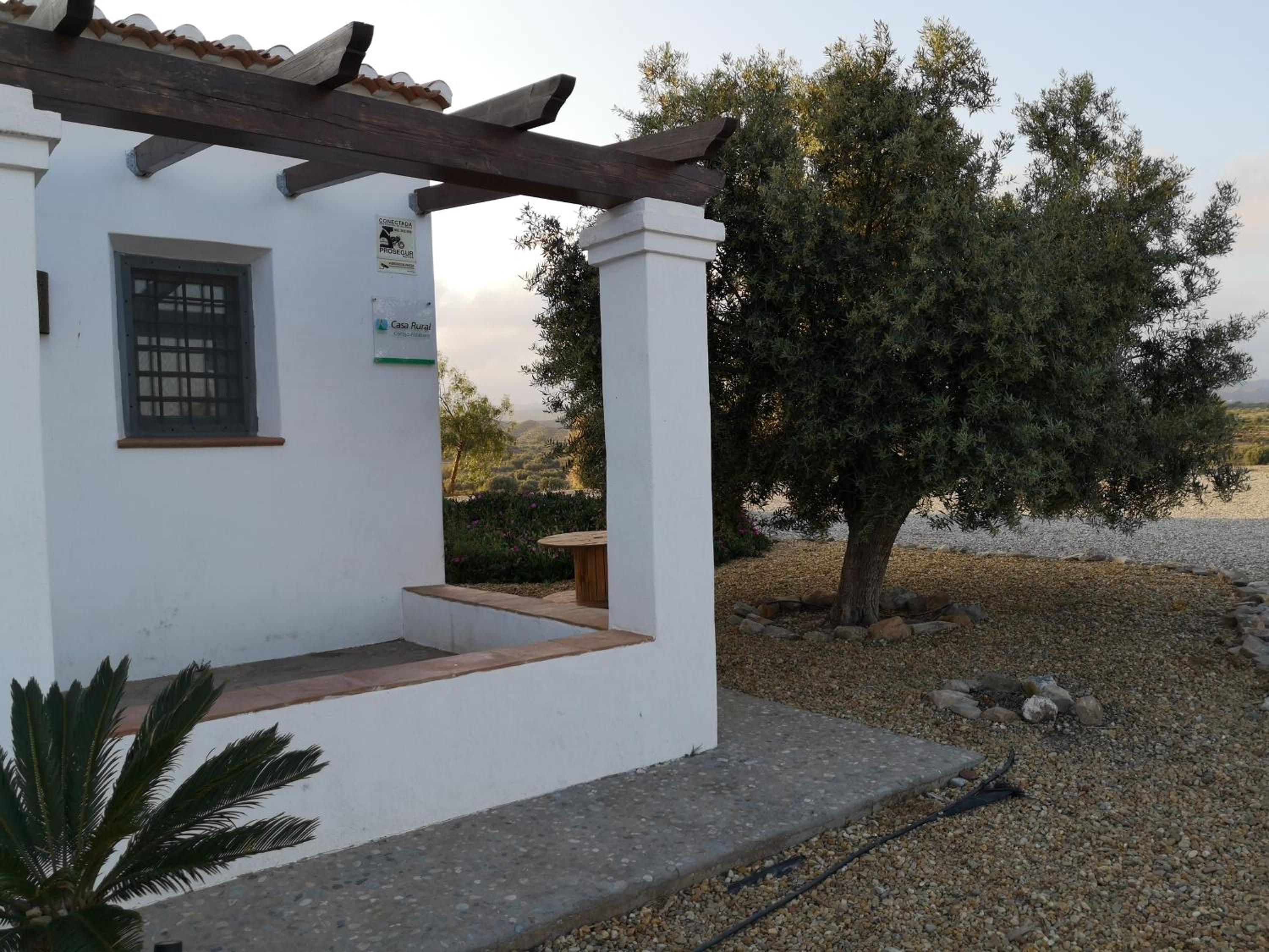 Photo 40