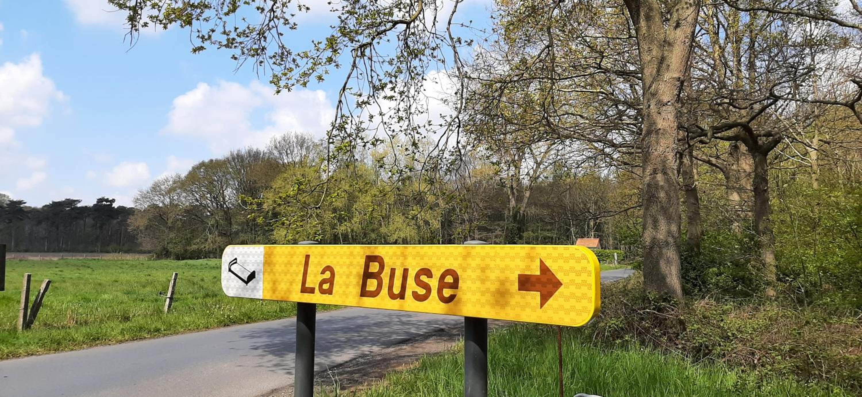 La Buse