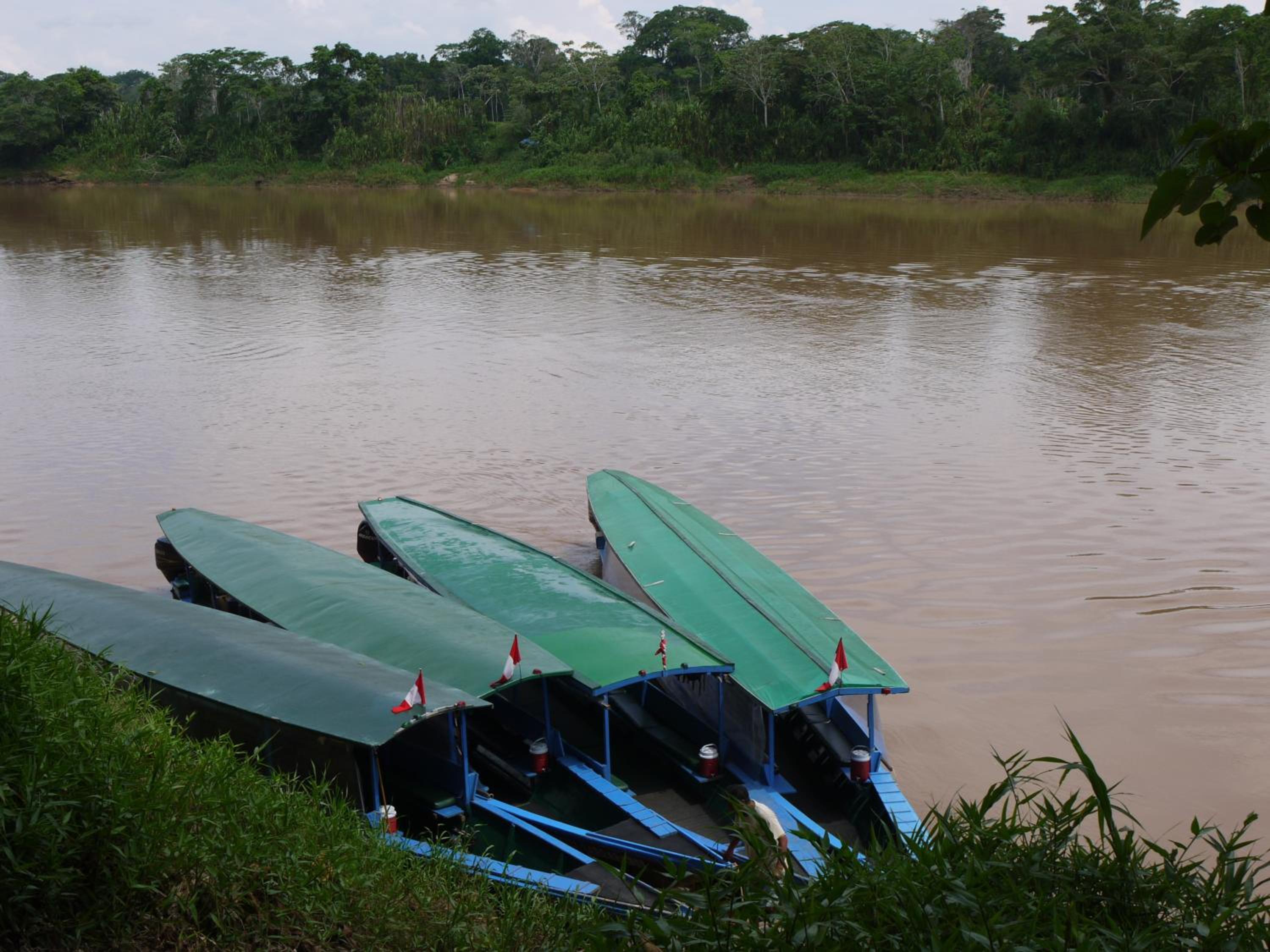 Posada Amazonas Lodge