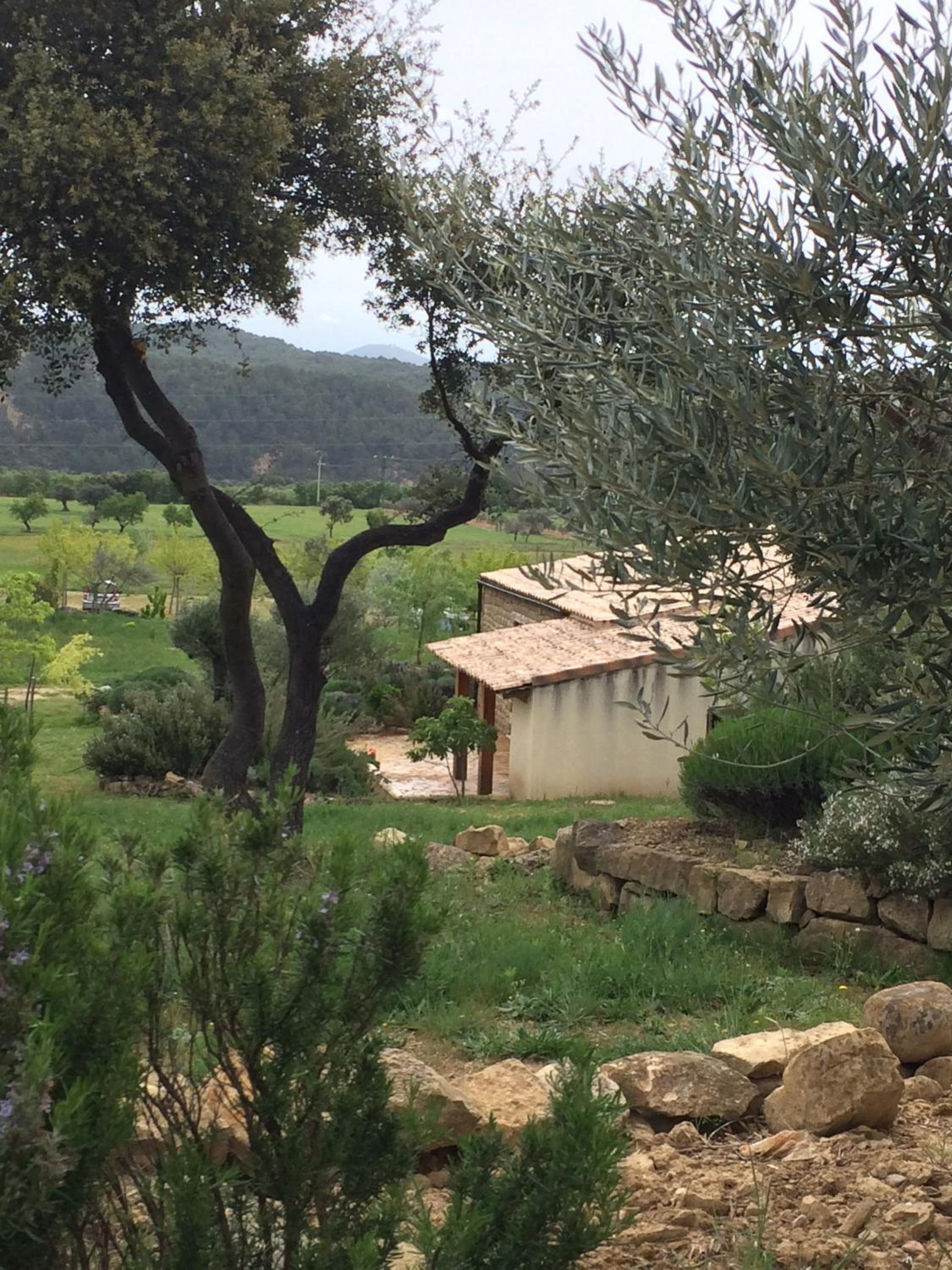 Alén D'Aragón