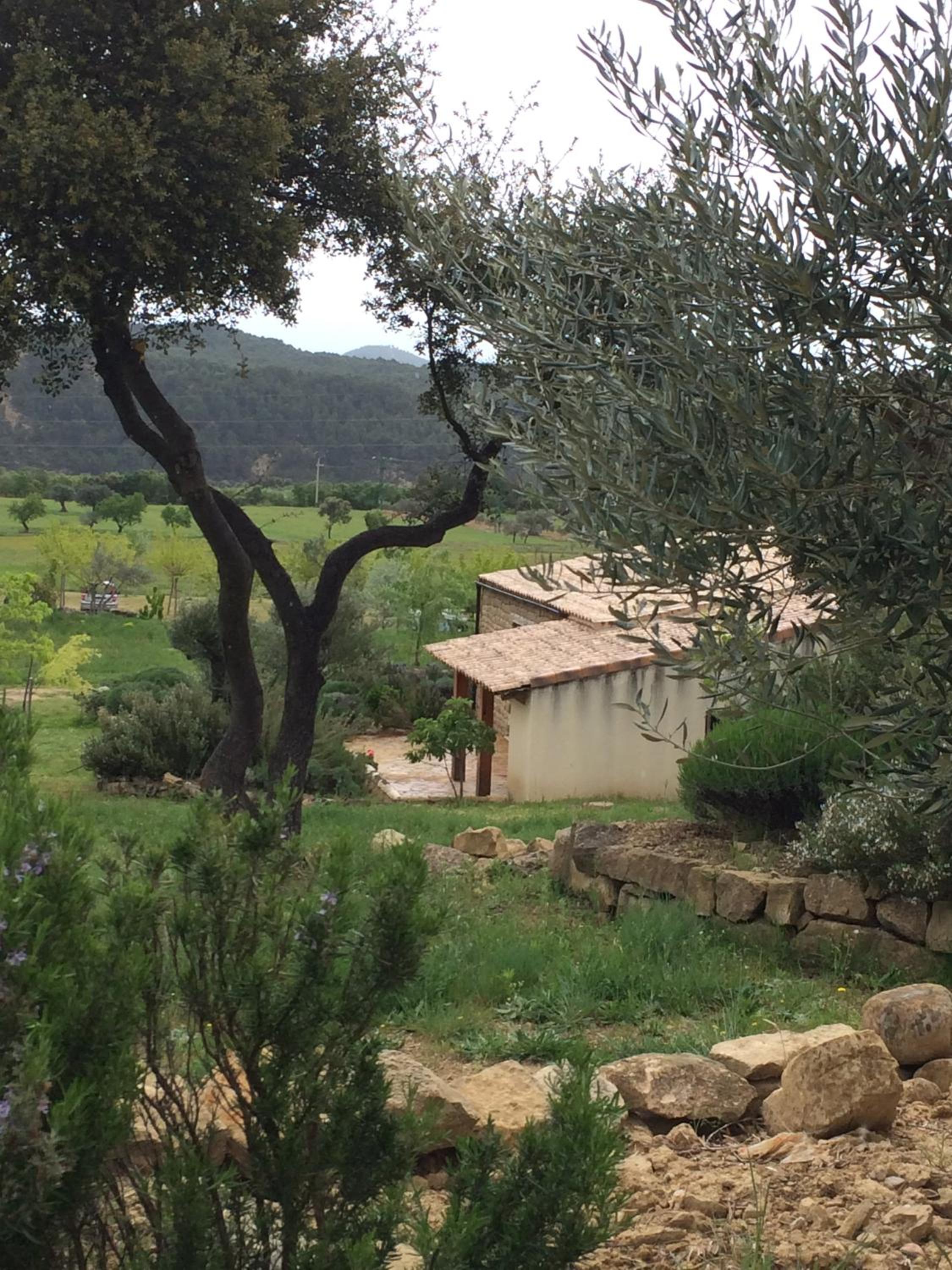 Alén D'Aragón