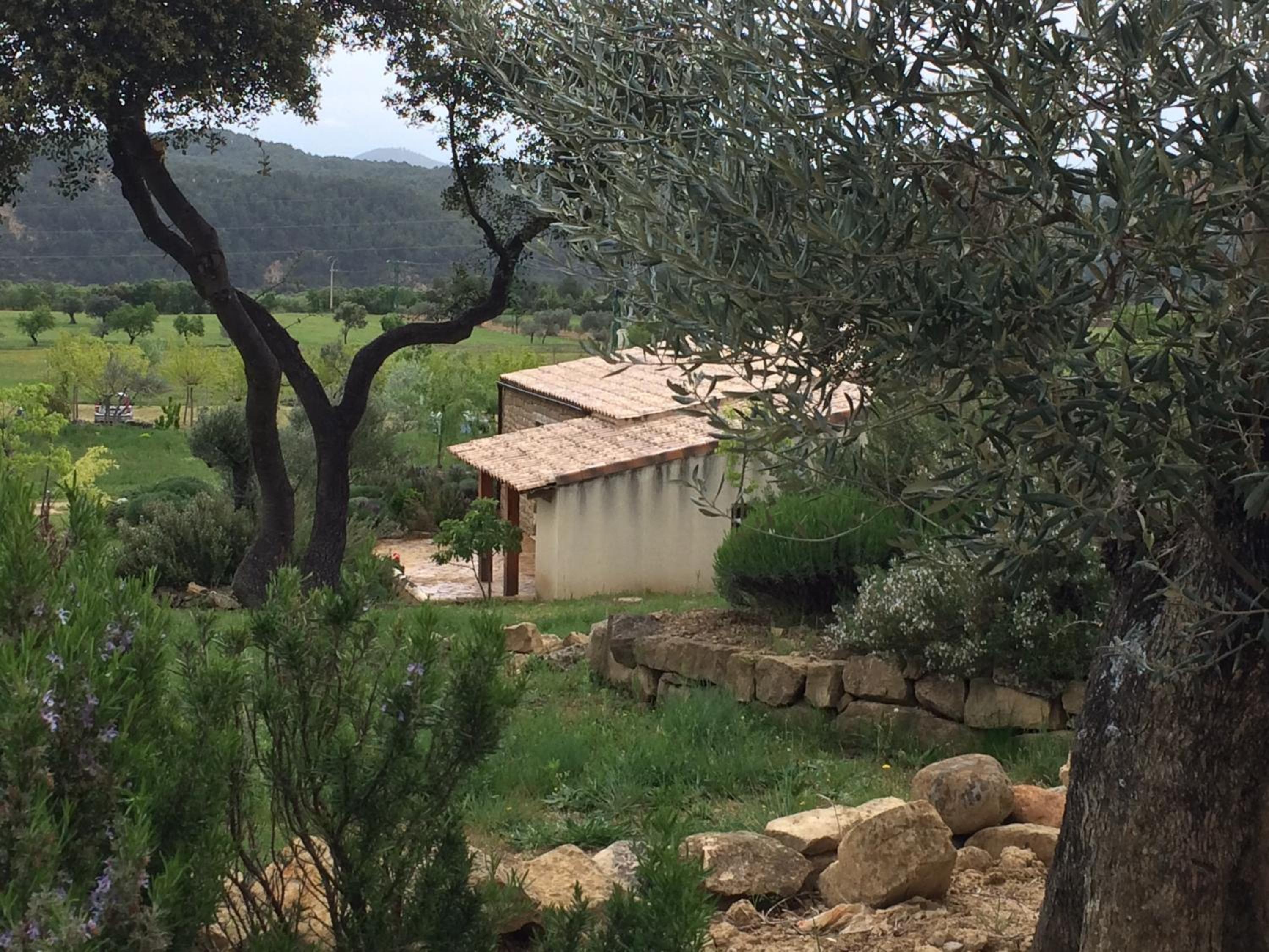 Alén D'Aragón