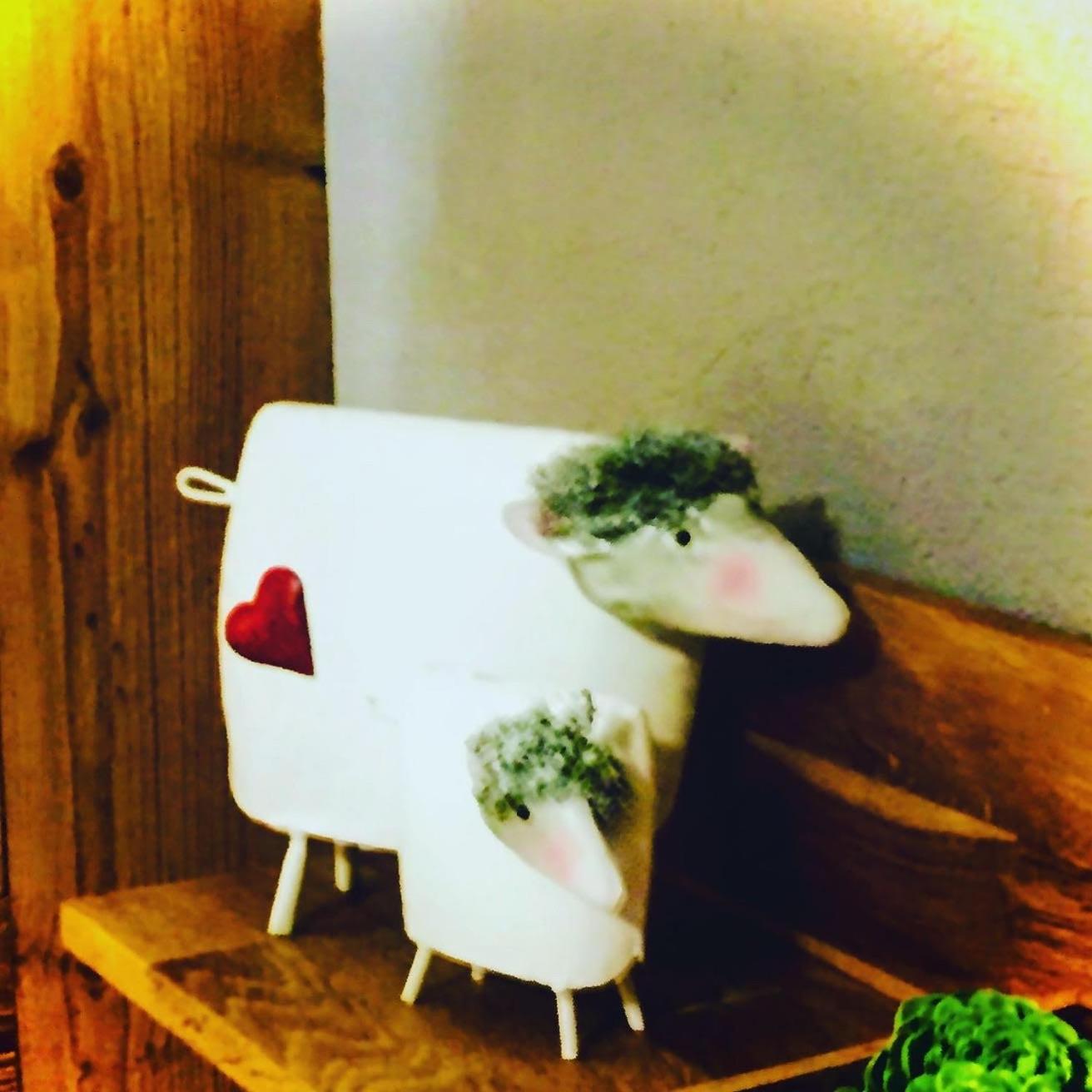 Photo 44