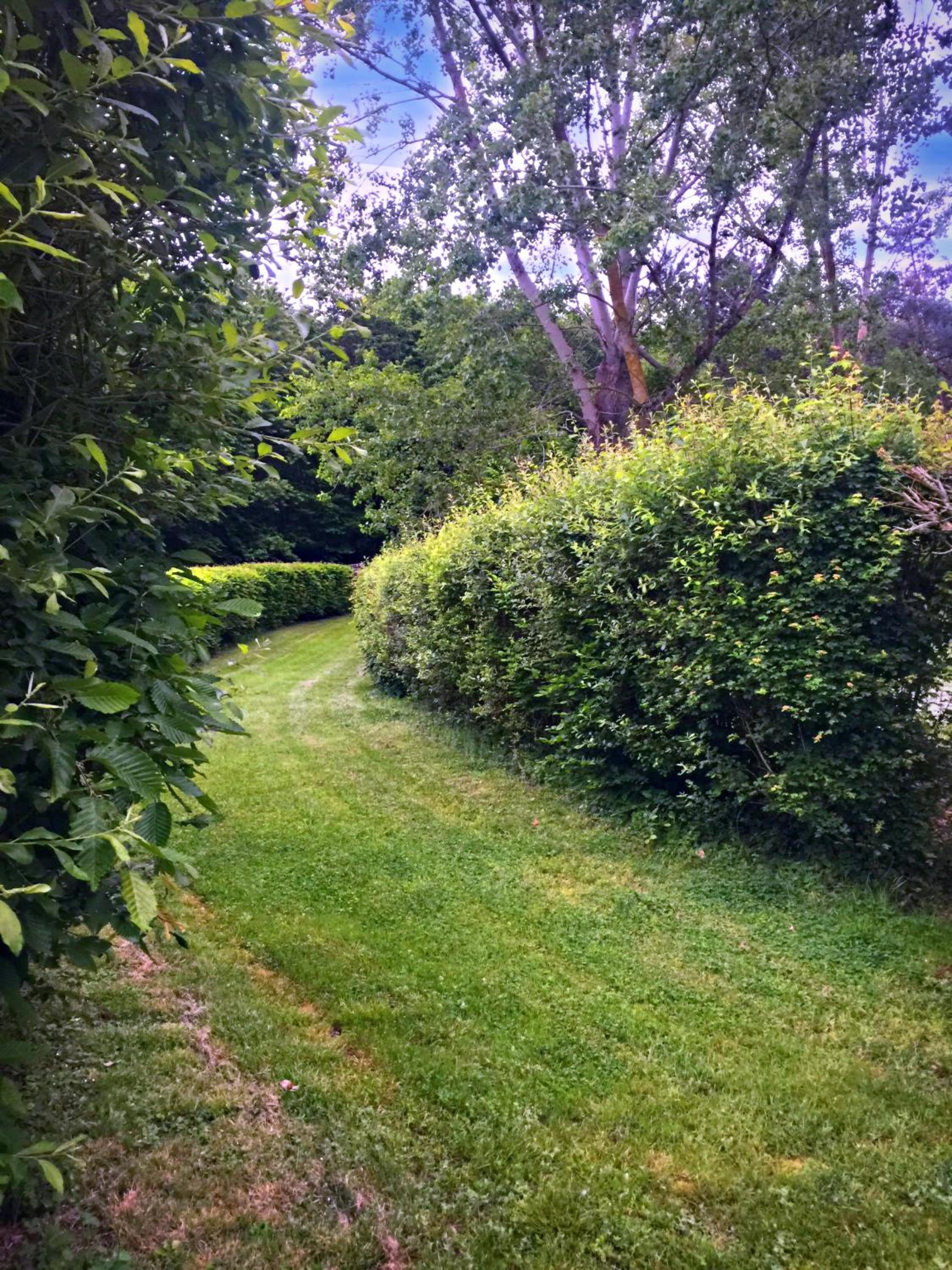 Photo 31