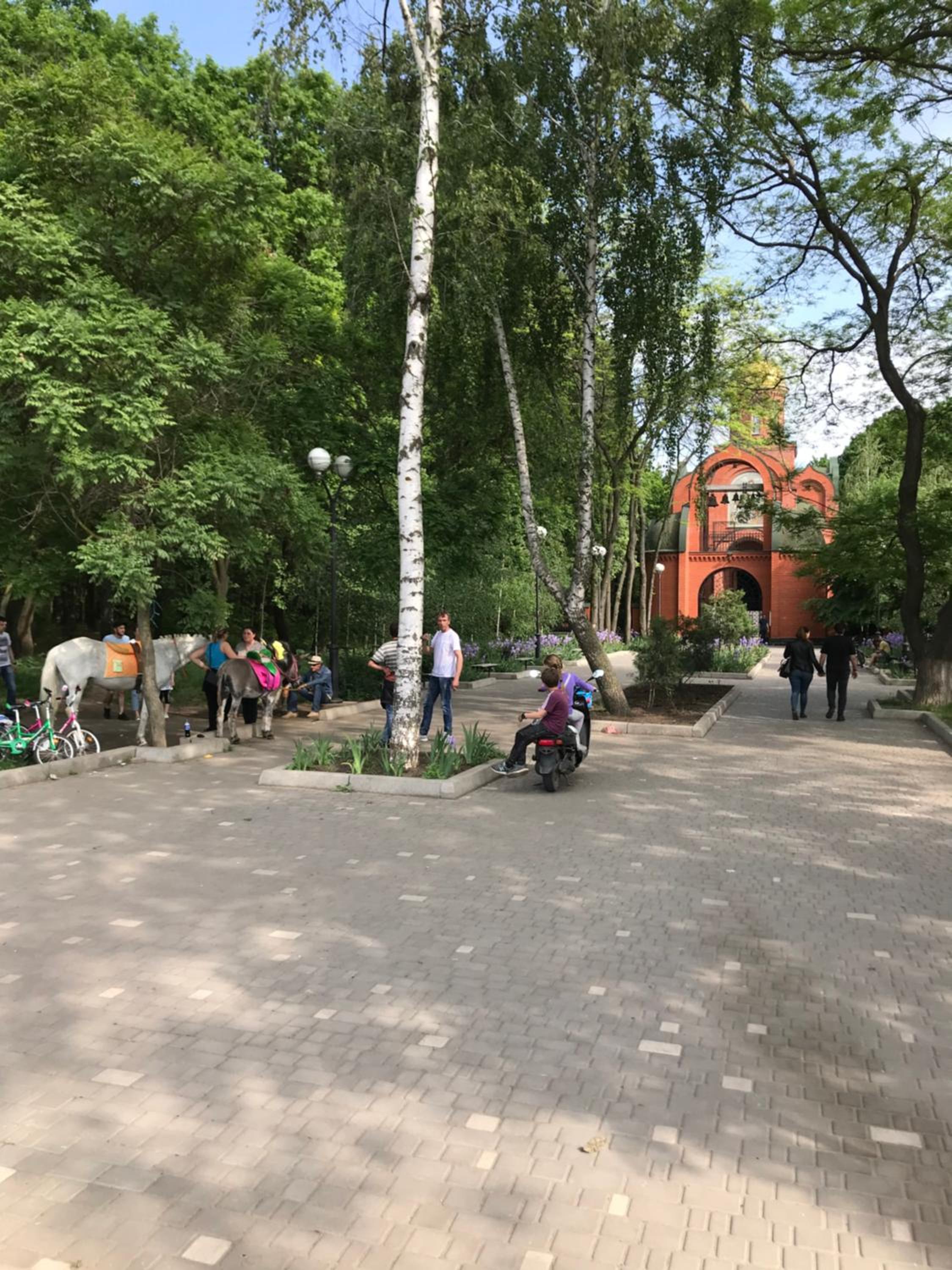 Photo 20