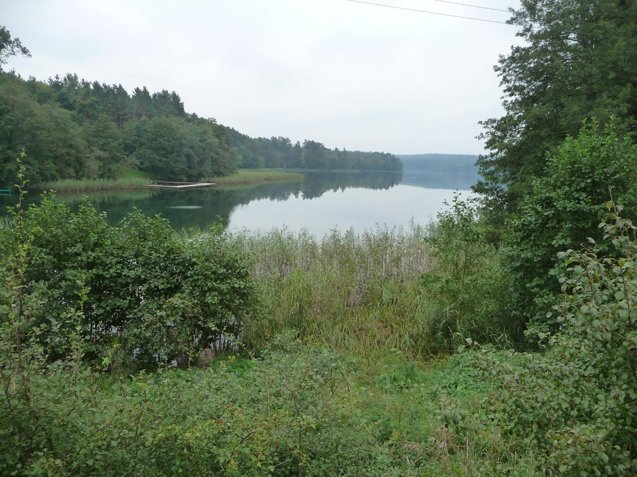Photo 54