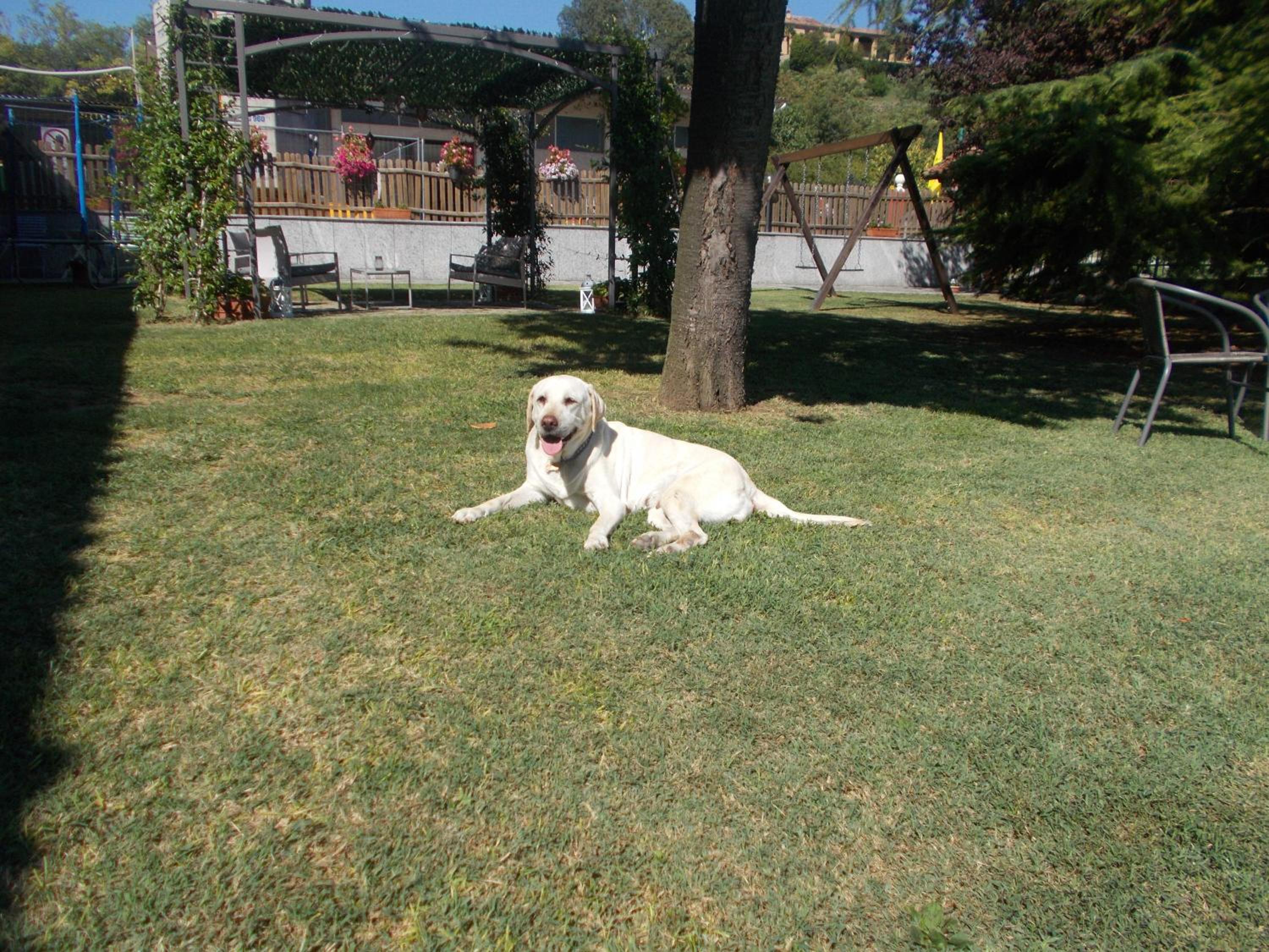 Photo 43