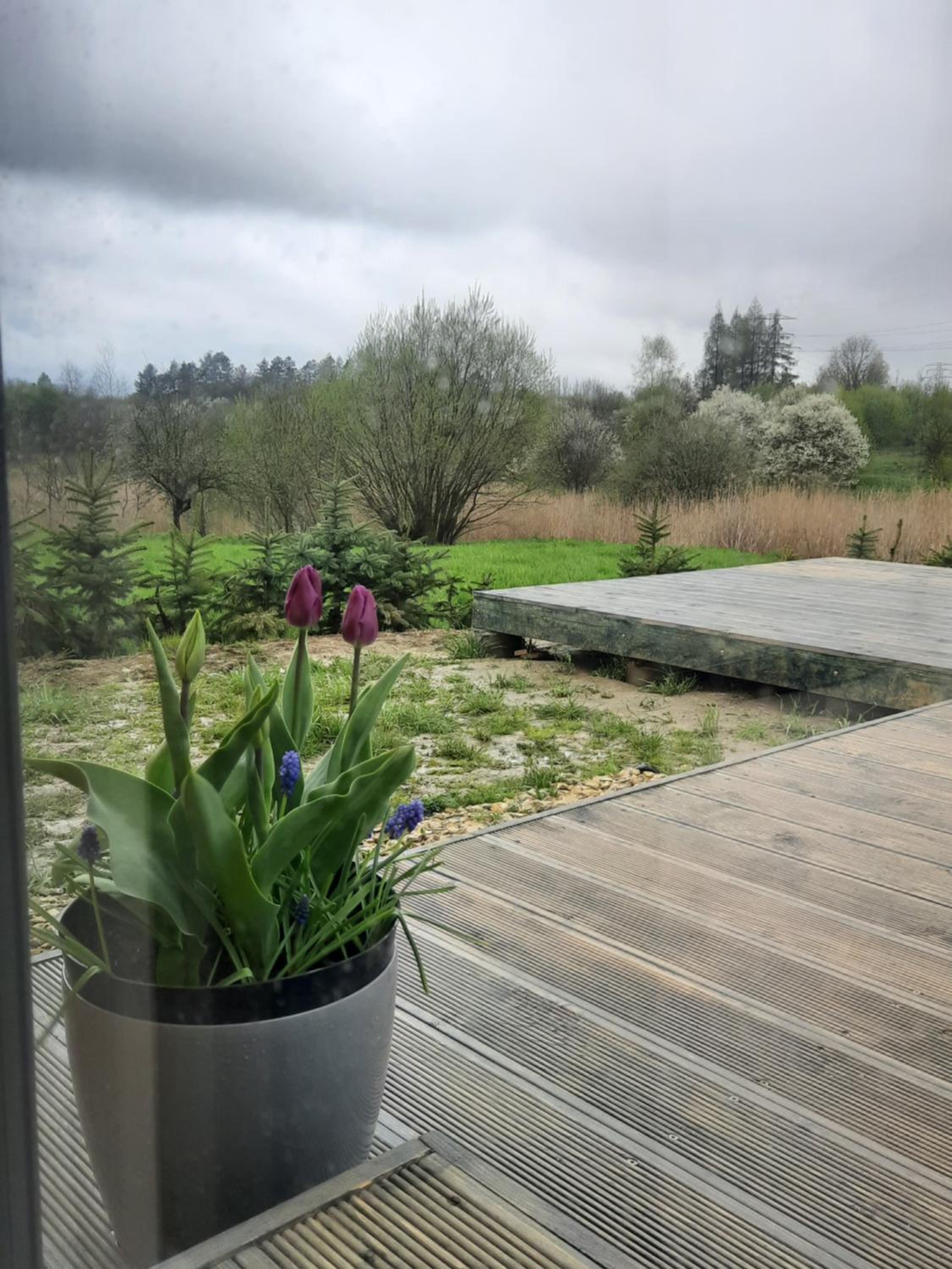 Siedlisko Święty Spokój, photo 31