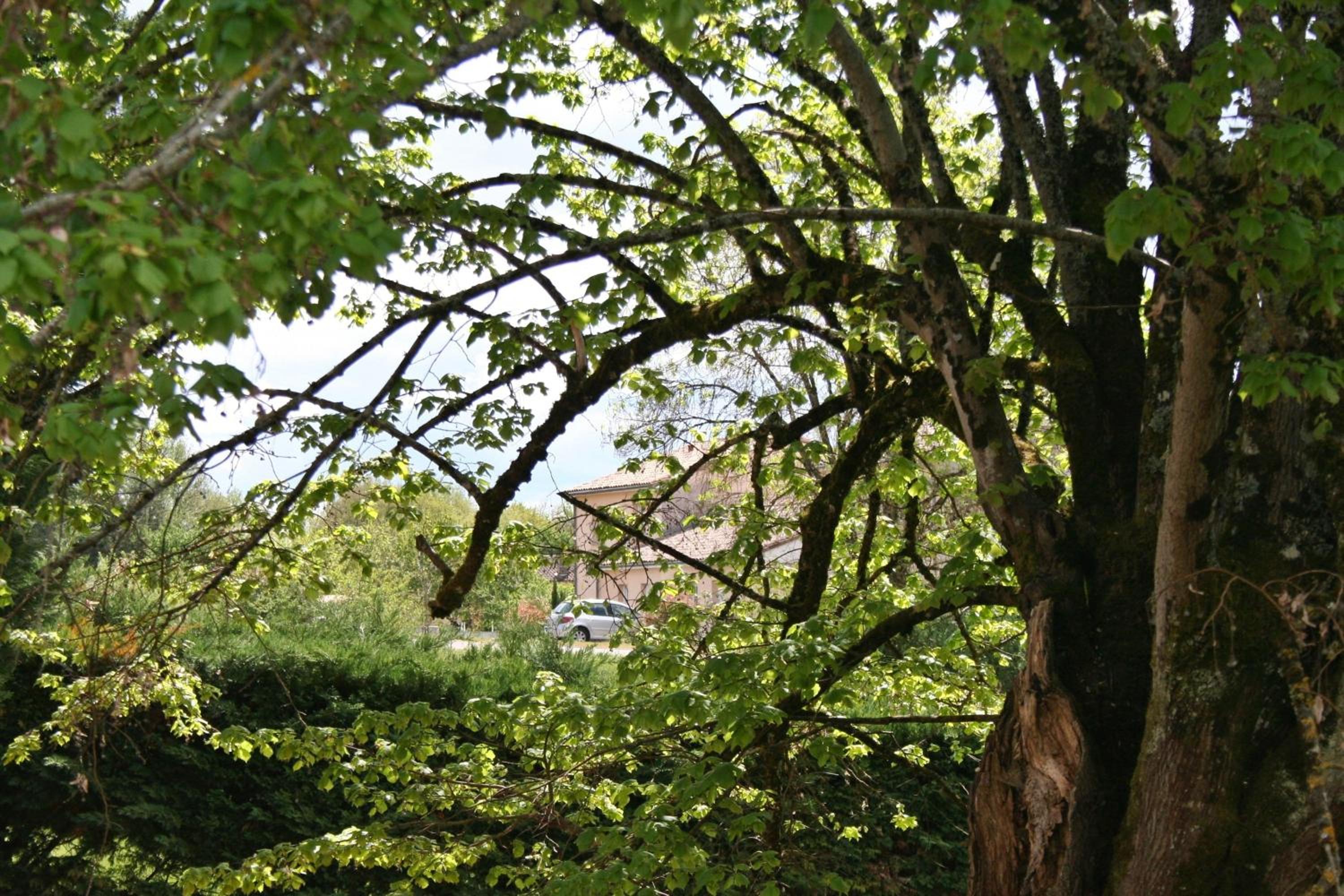 Photo 14