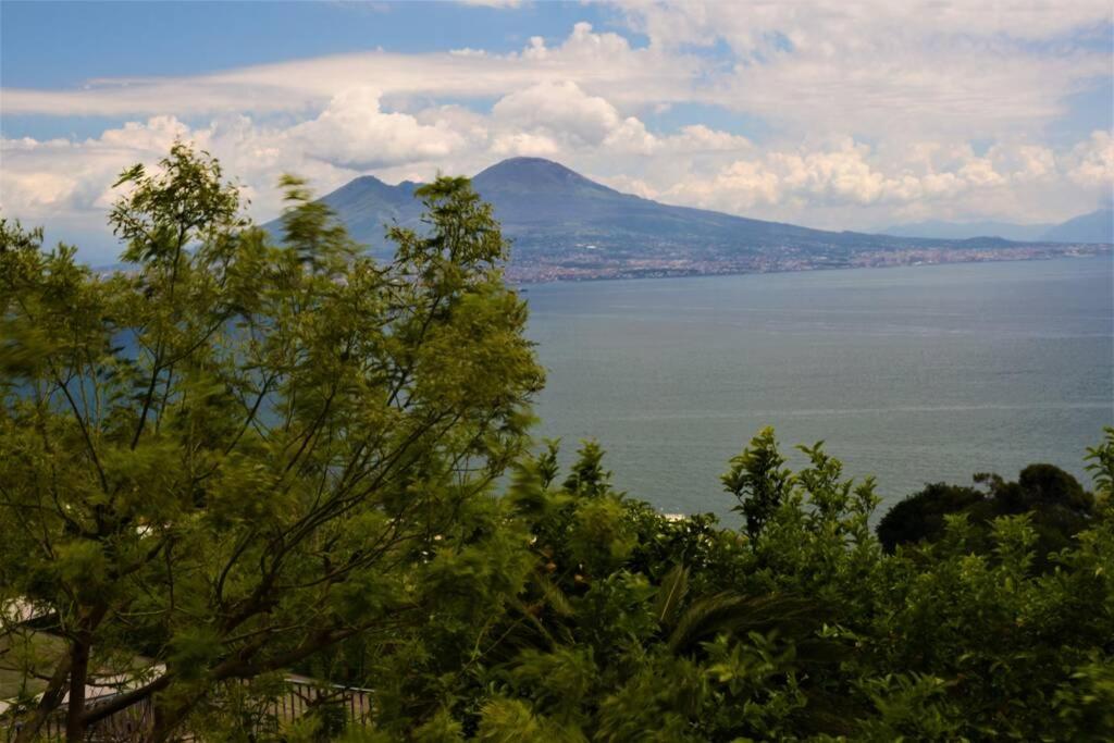 Posillipo il nido sul mare