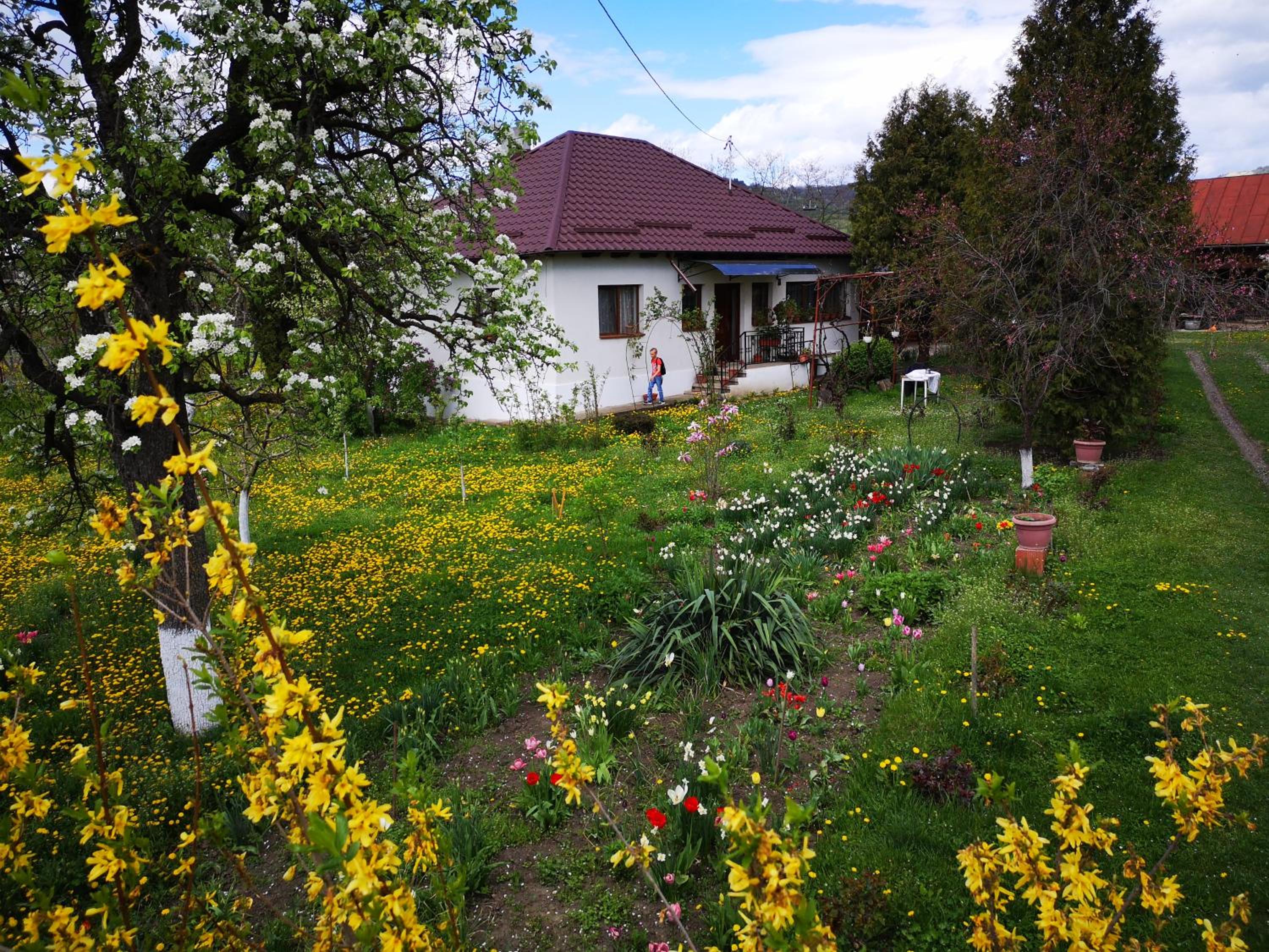 Casa Livada Bunicii view 5