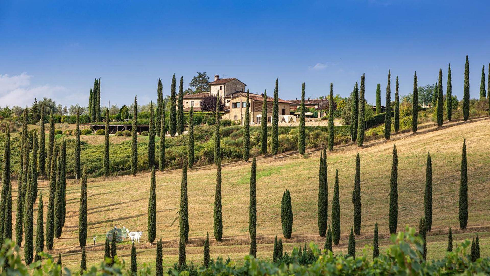 Ricciolo 4, Emma Villas photo 2