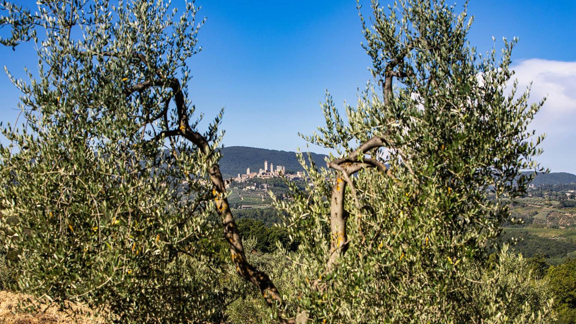 Ricciolo 4, Emma Villas photo 3