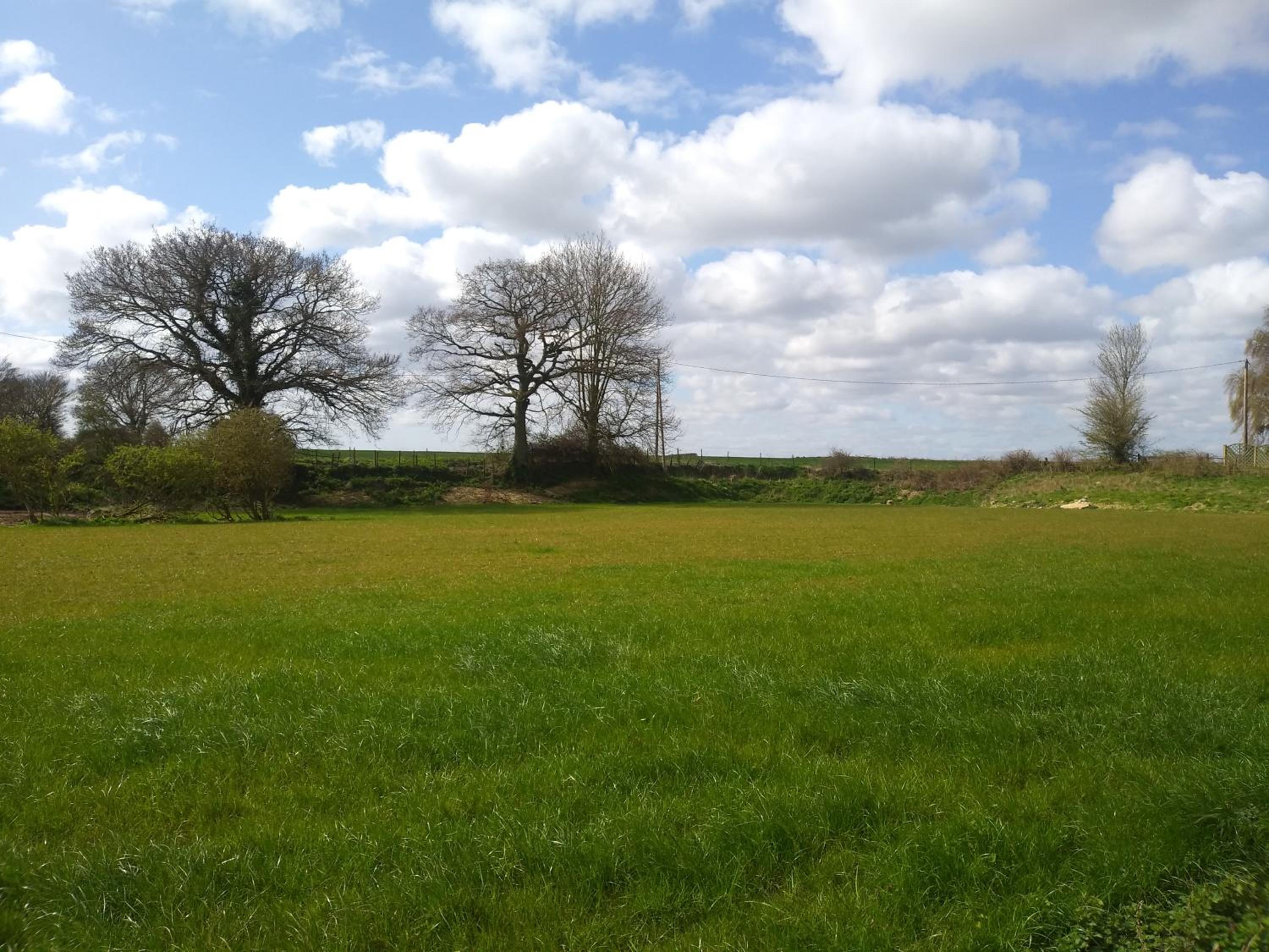Brick Kiln Farm view 5