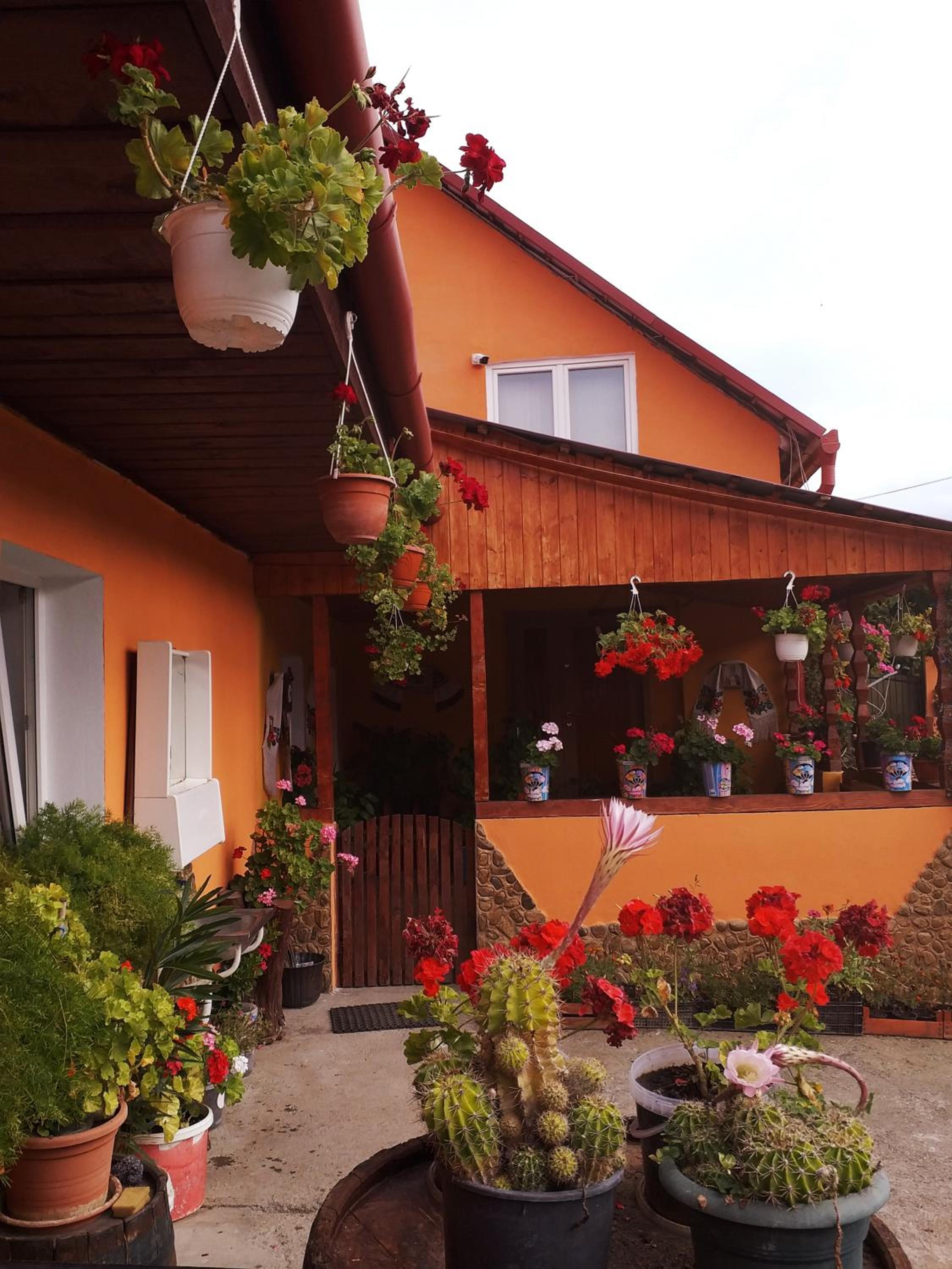 Casa Florilor Barcut view 2