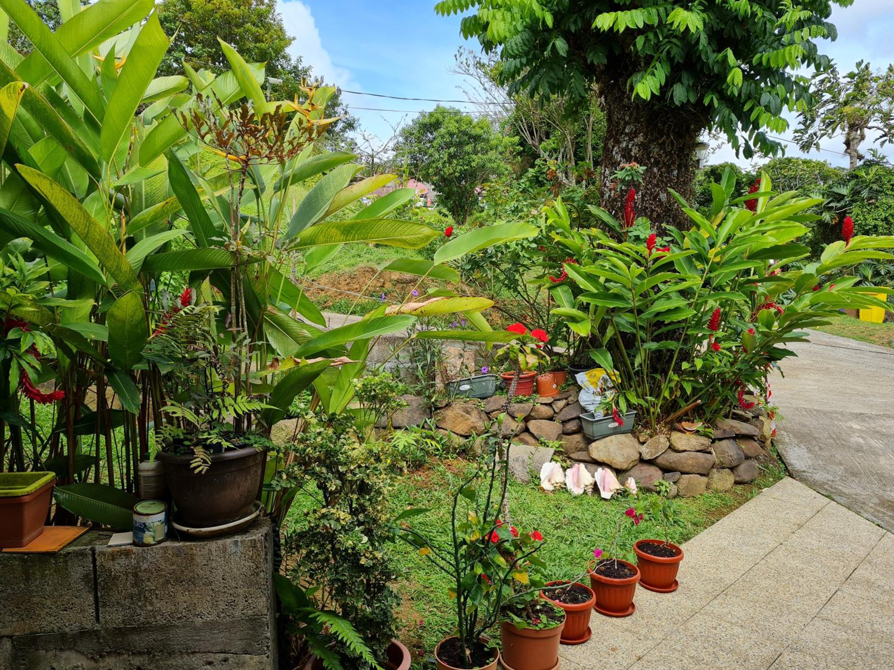 Photo 21