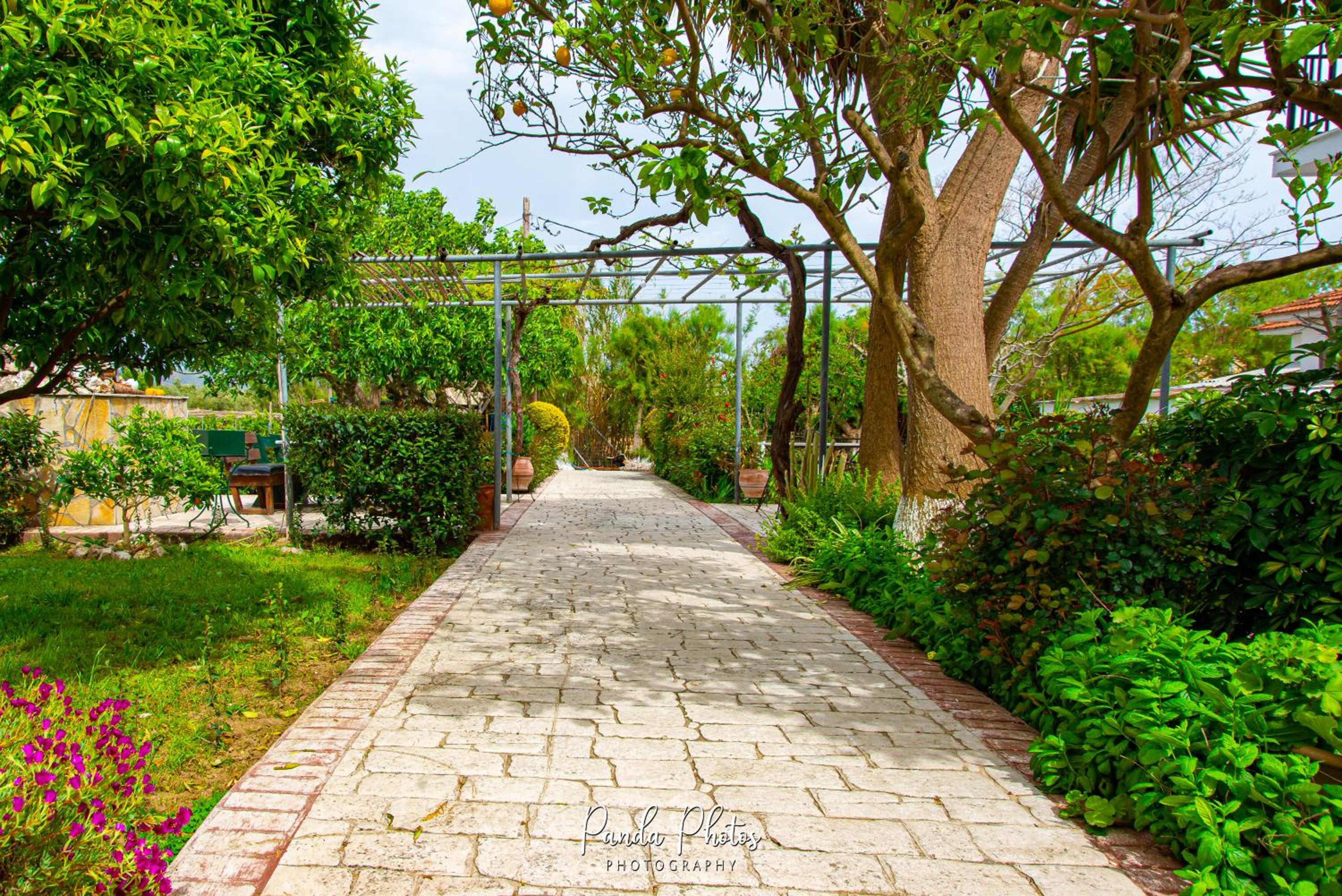 Zante Apts photo 5