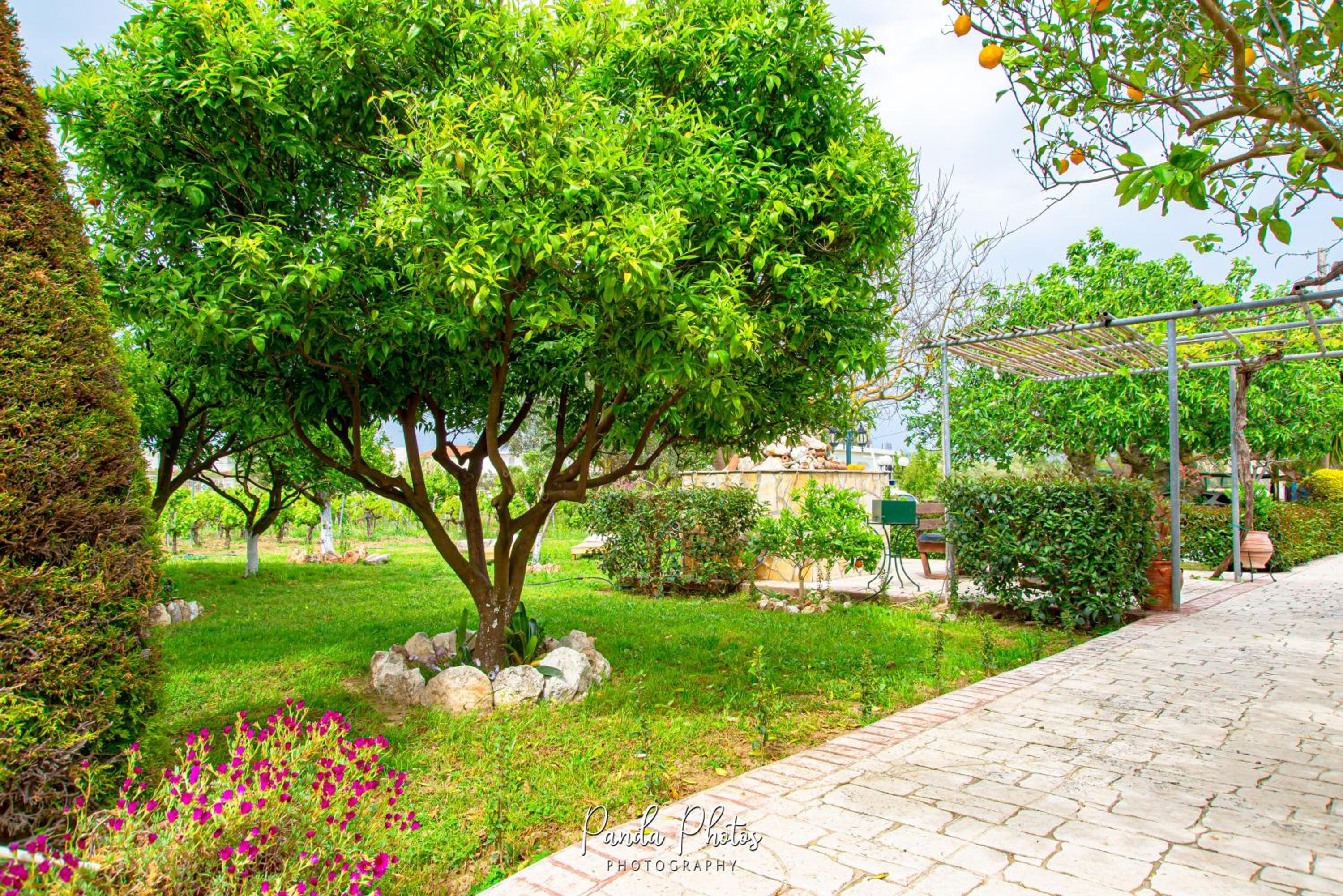 Zante Apts photo 2