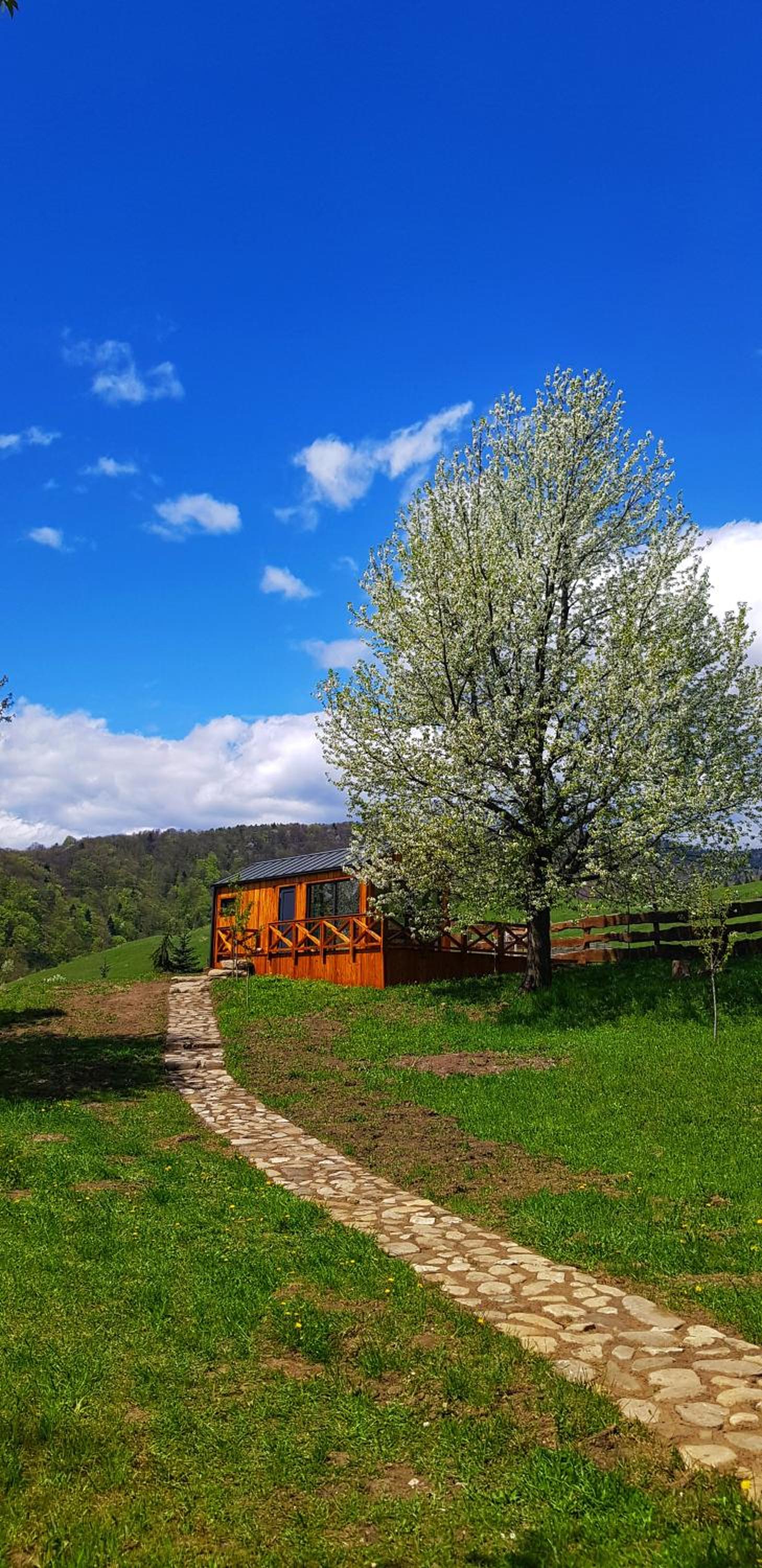 Căsuța de sub cireș view 4