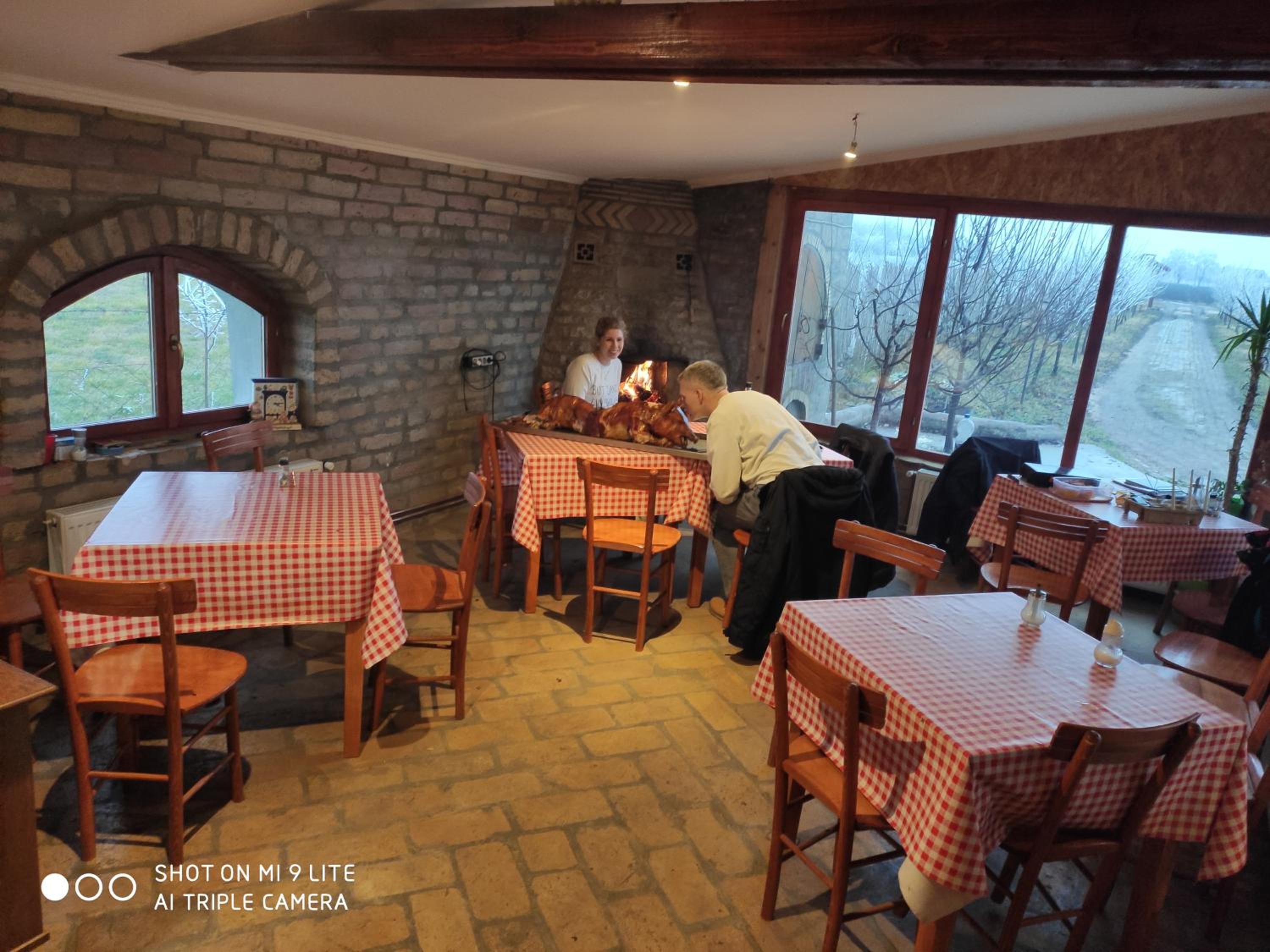 Salaš Farma 47-Miris Dunja view 2