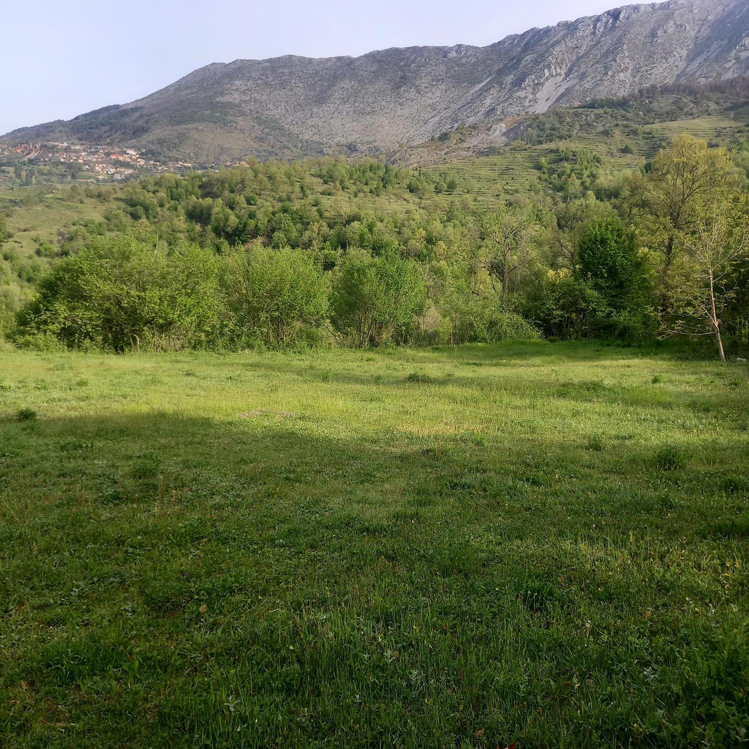 VILA DISHA