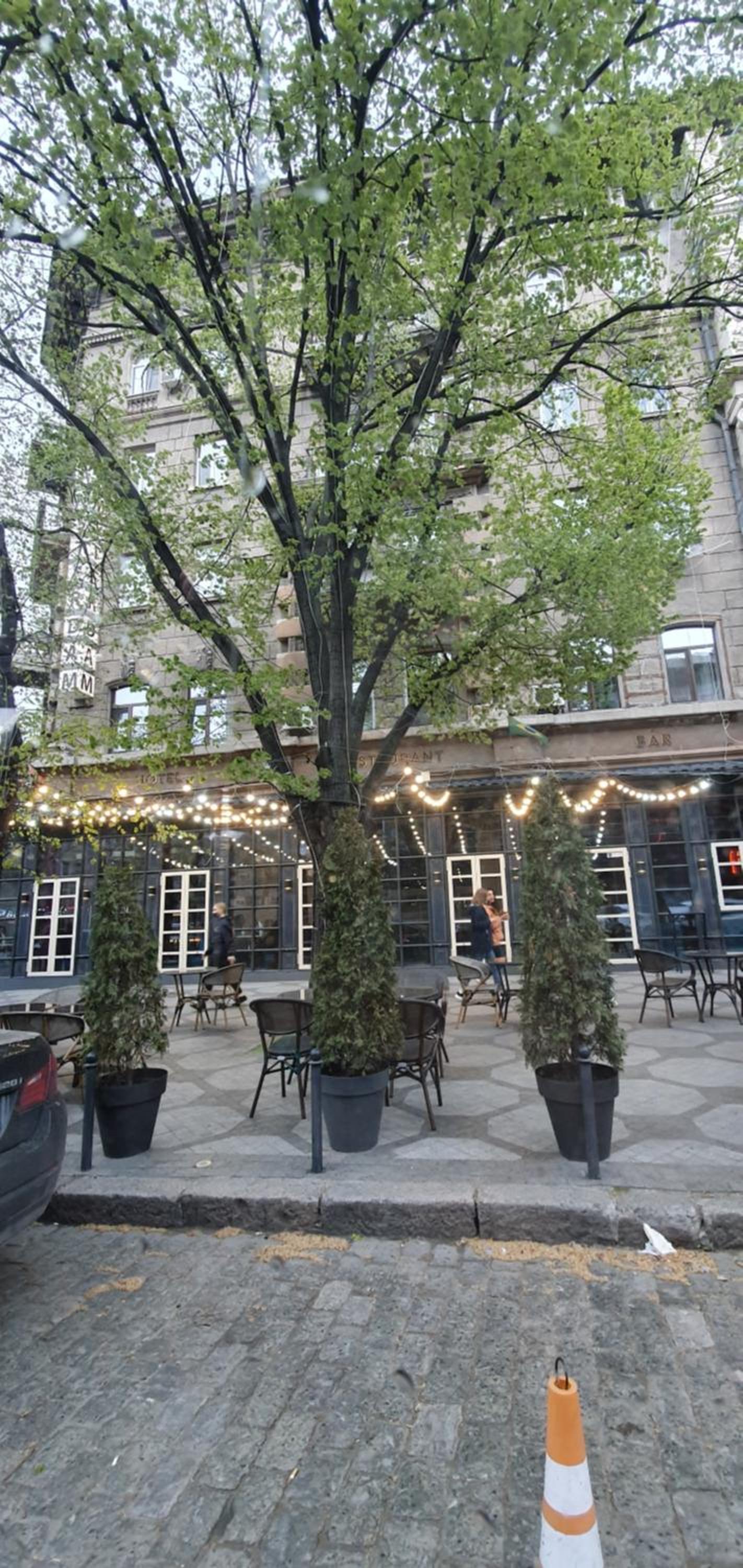 Photo 19