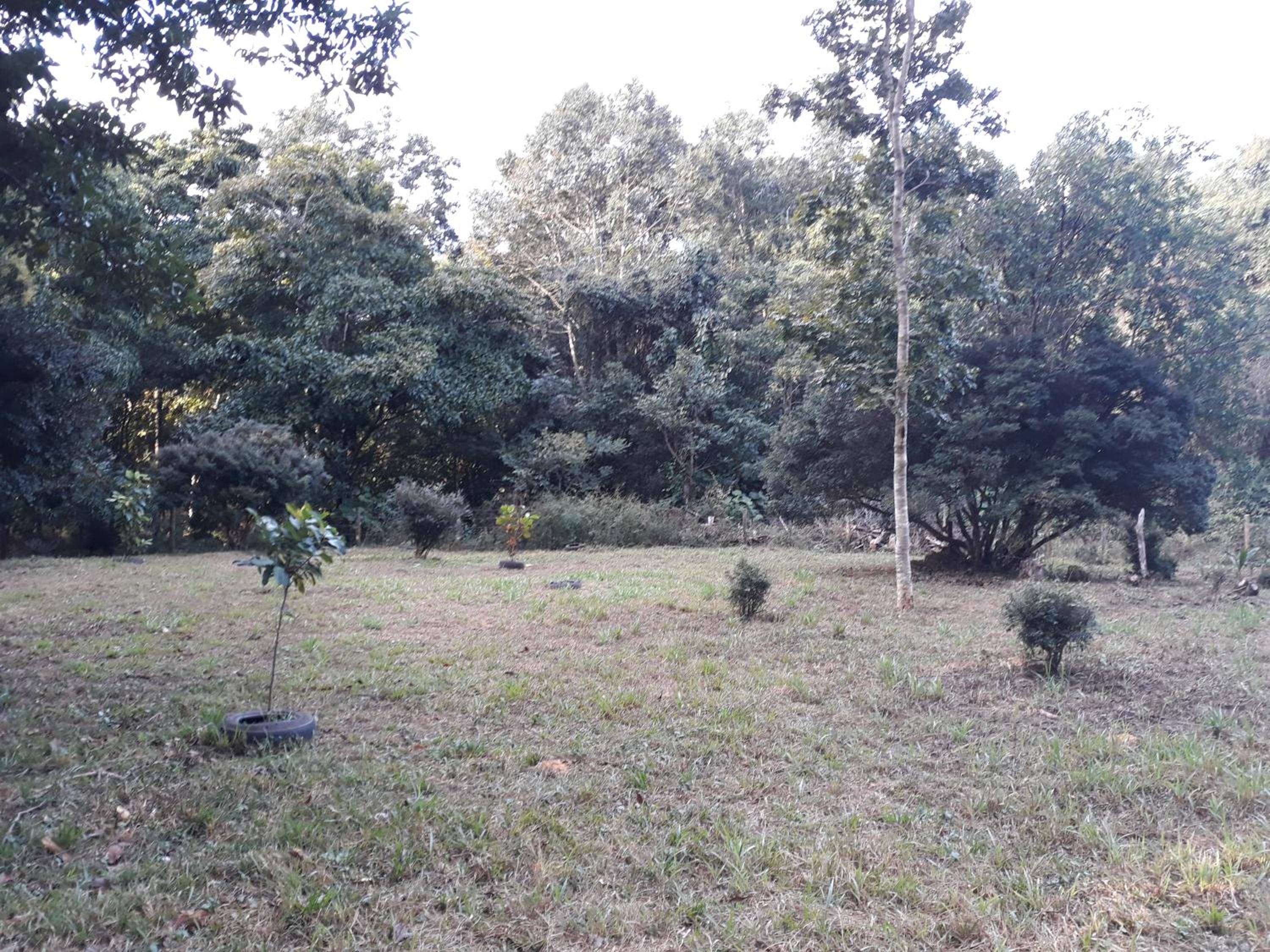 Chalé Veredas e Buritis