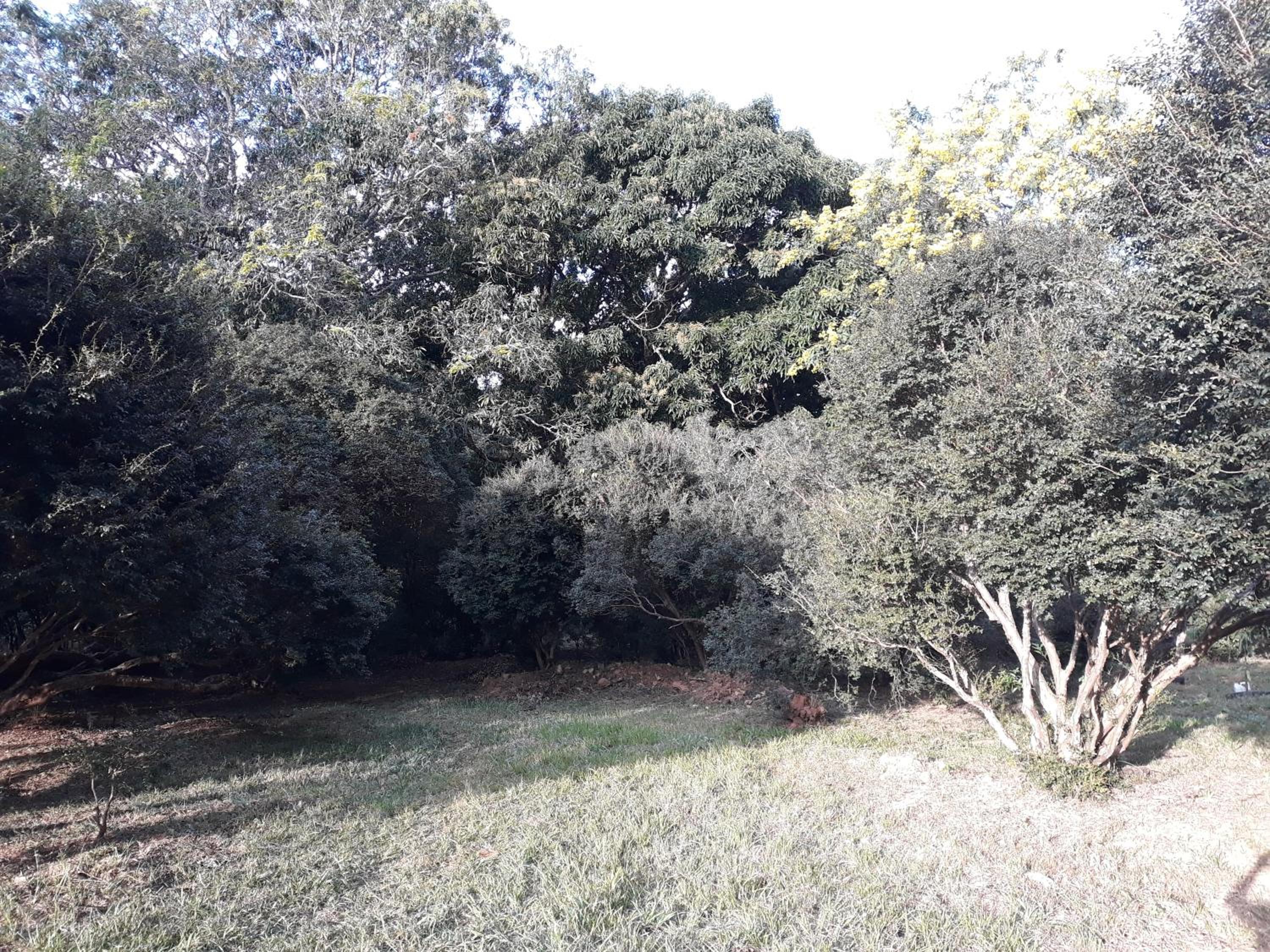 Chalé Veredas e Buritis
