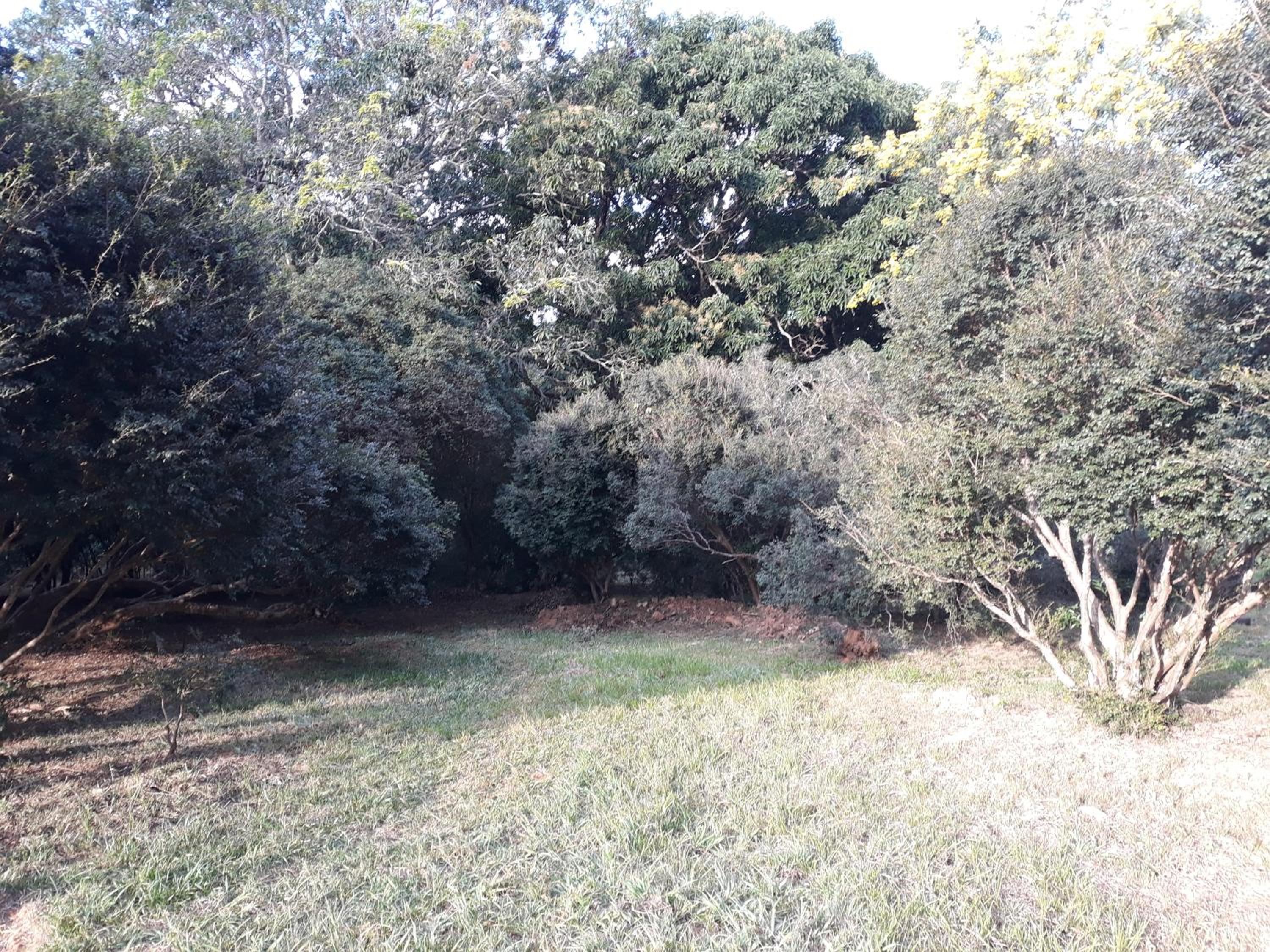 Chalé Veredas e Buritis