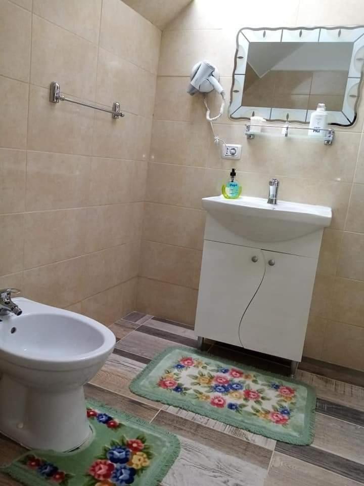 Casa Florilor Barcut view 3