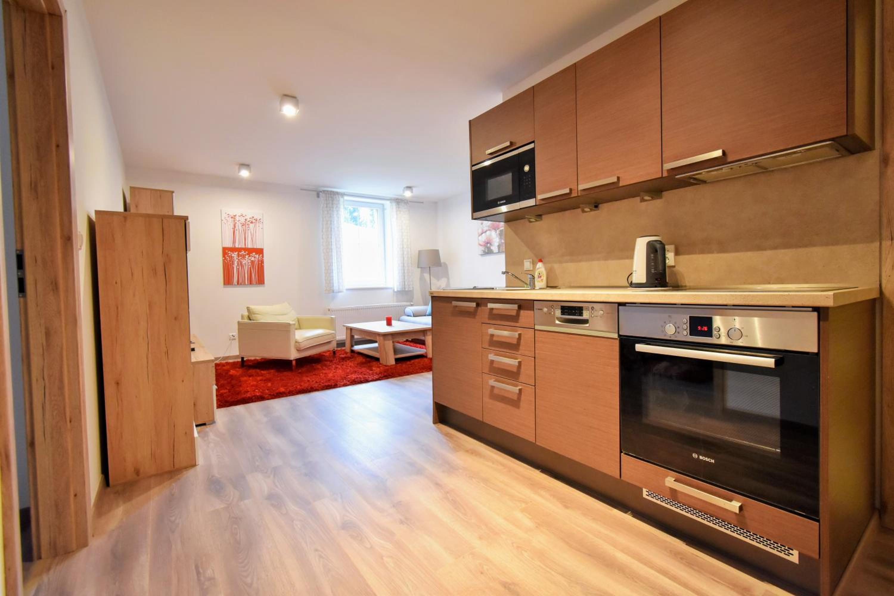 Apartment Dalibor II with private entrance and private garage