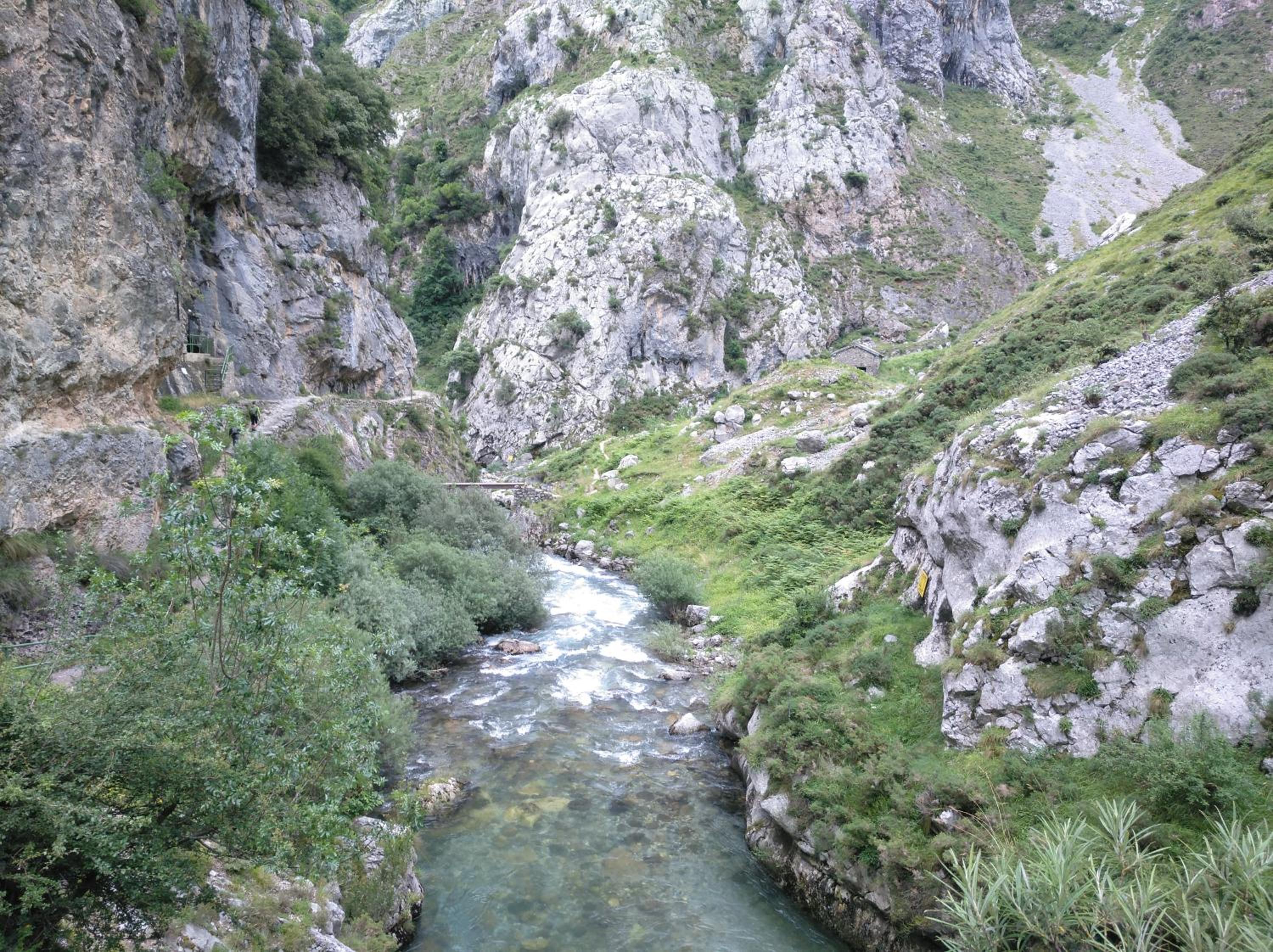 Photo 24