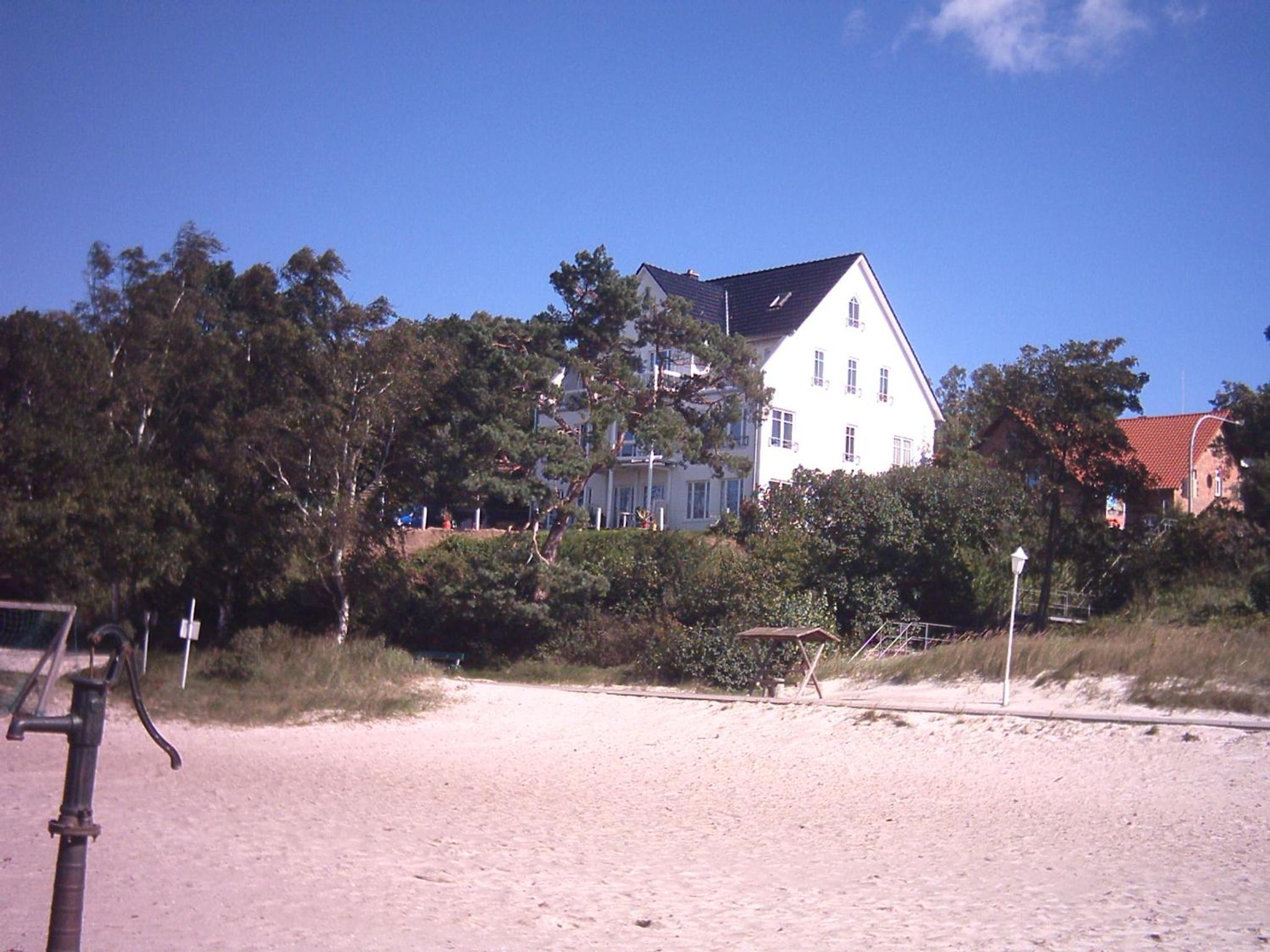 Photo 41