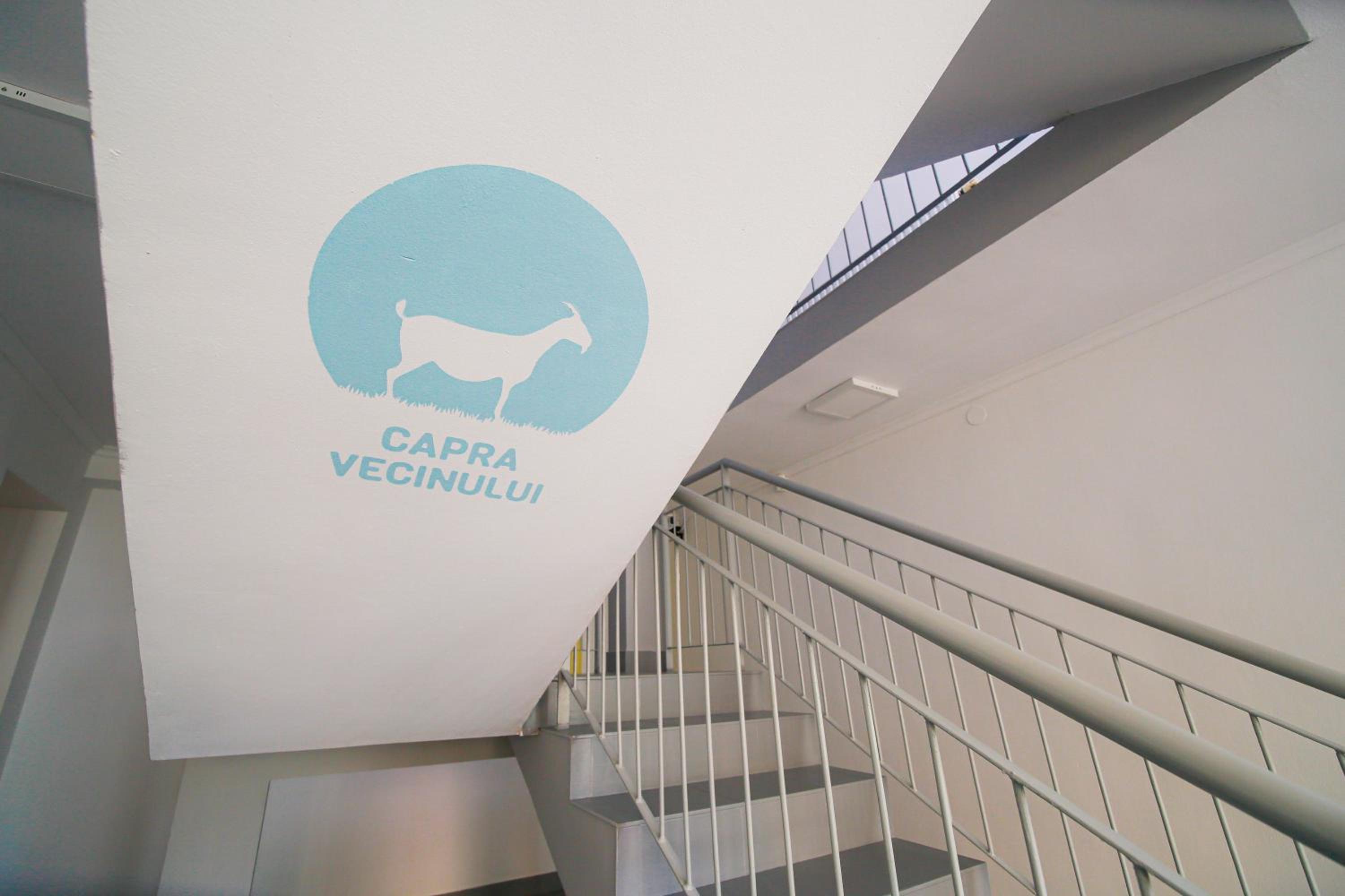 Capra Vecinului en Târgu-Mureş