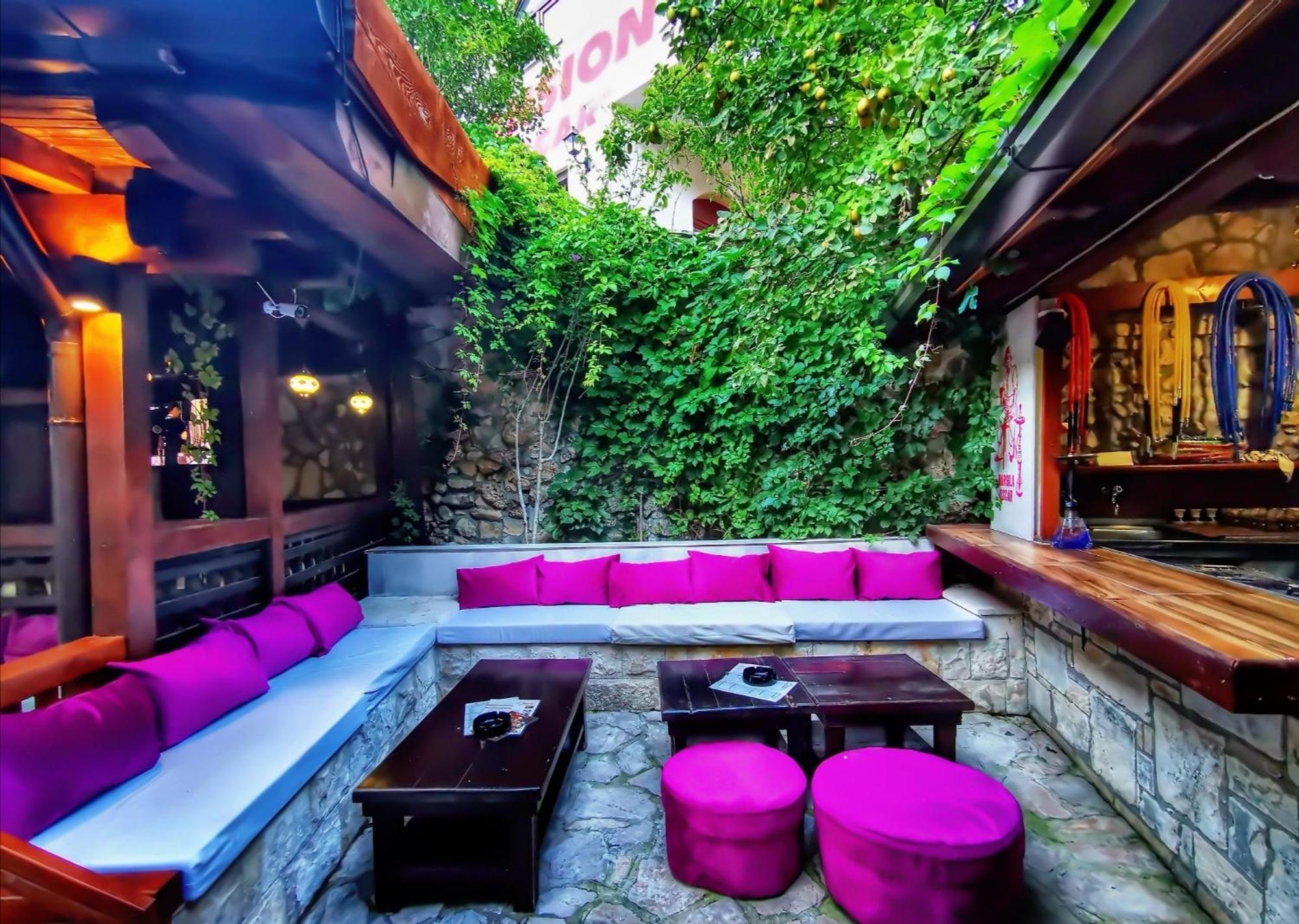 Pansion Oscar Summer Garden