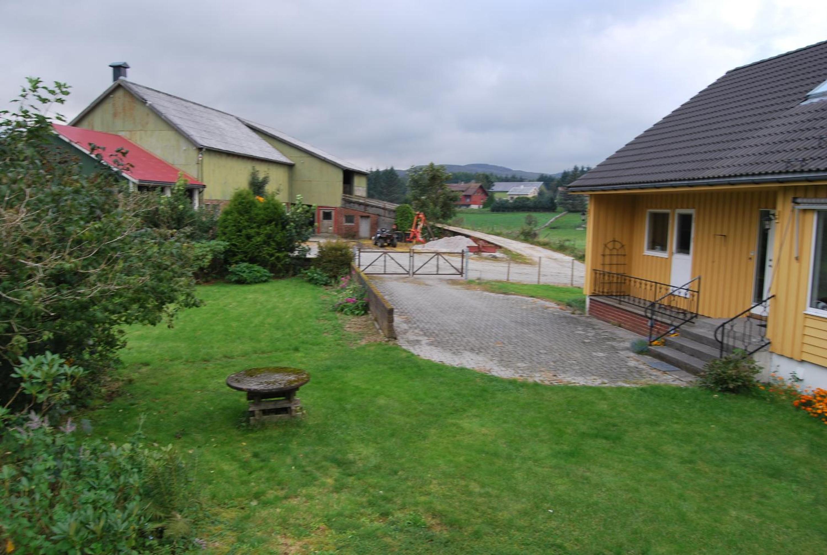 Photo 42