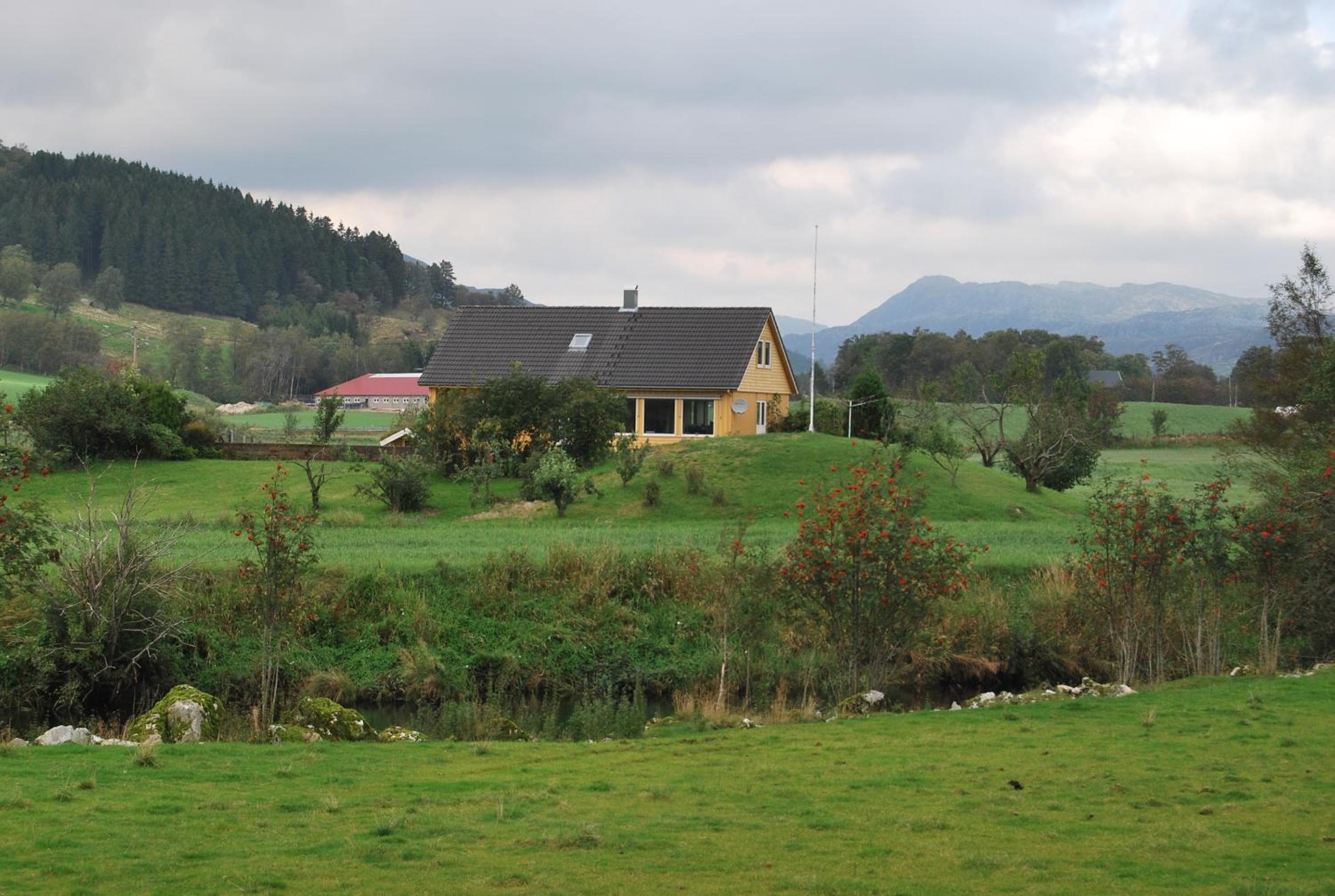 Photo 43