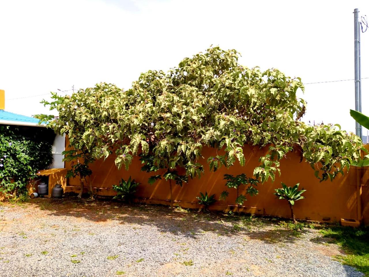 Suites Cerrado