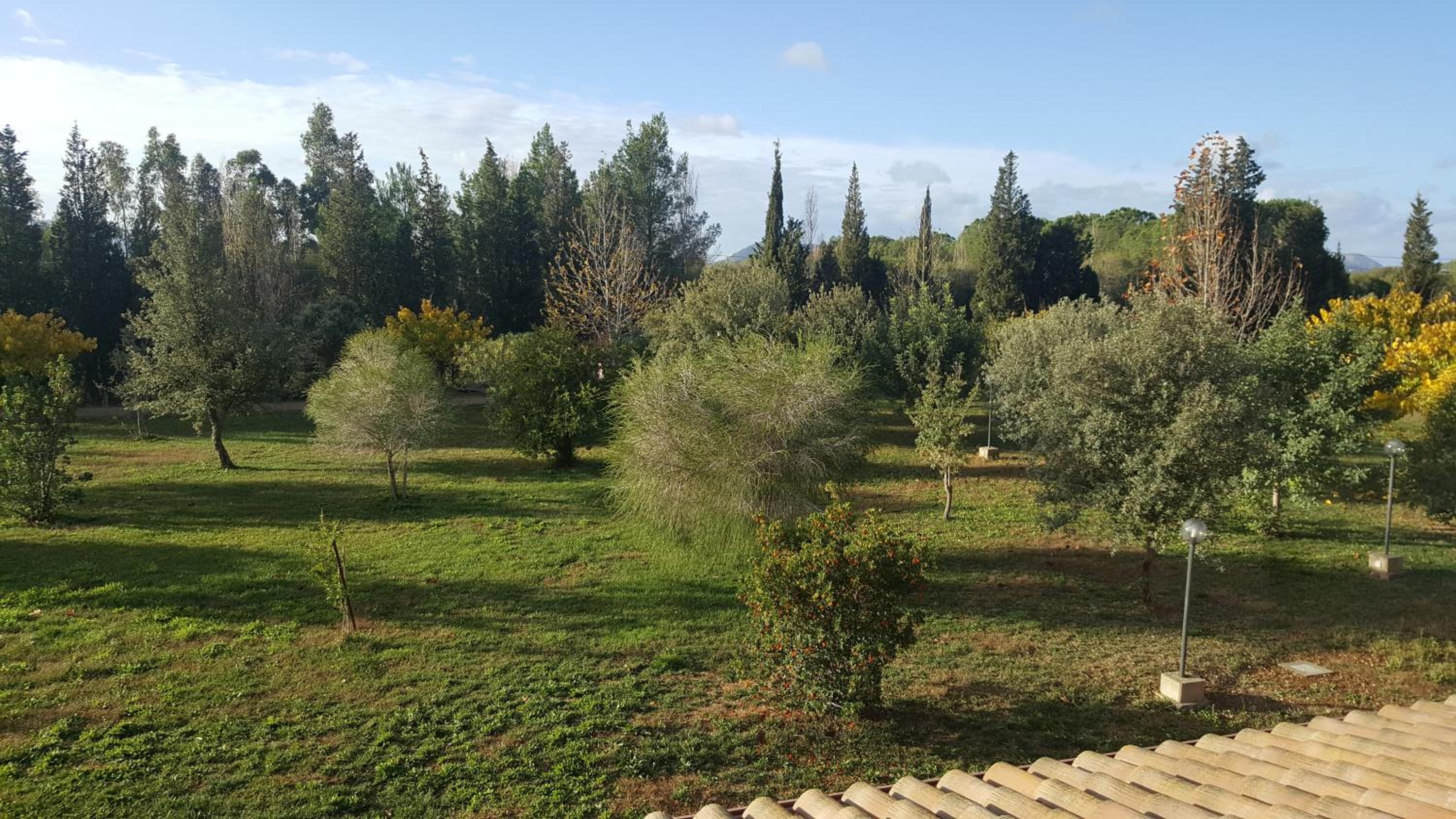Photo 17