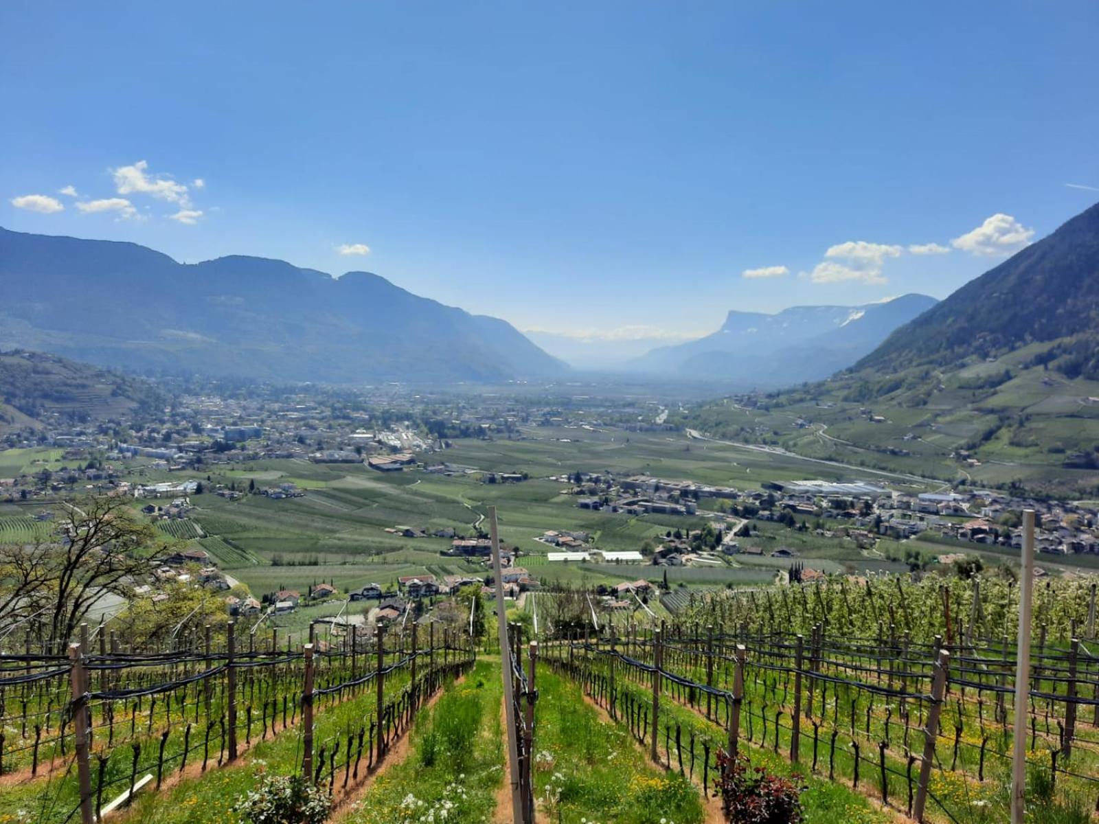 Unterötzbauerhof - Fewo Weinberg view 4