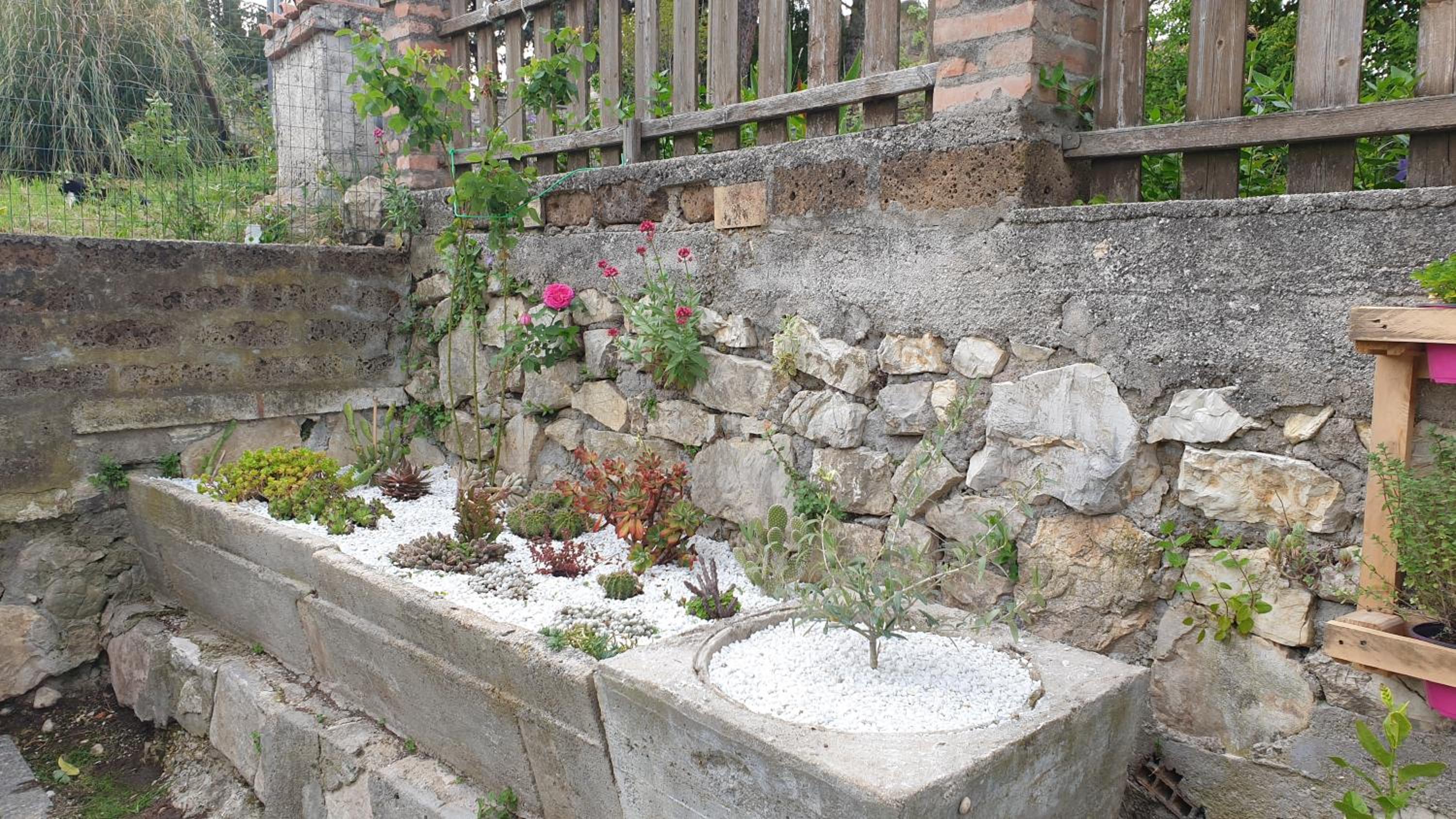 Photo 29