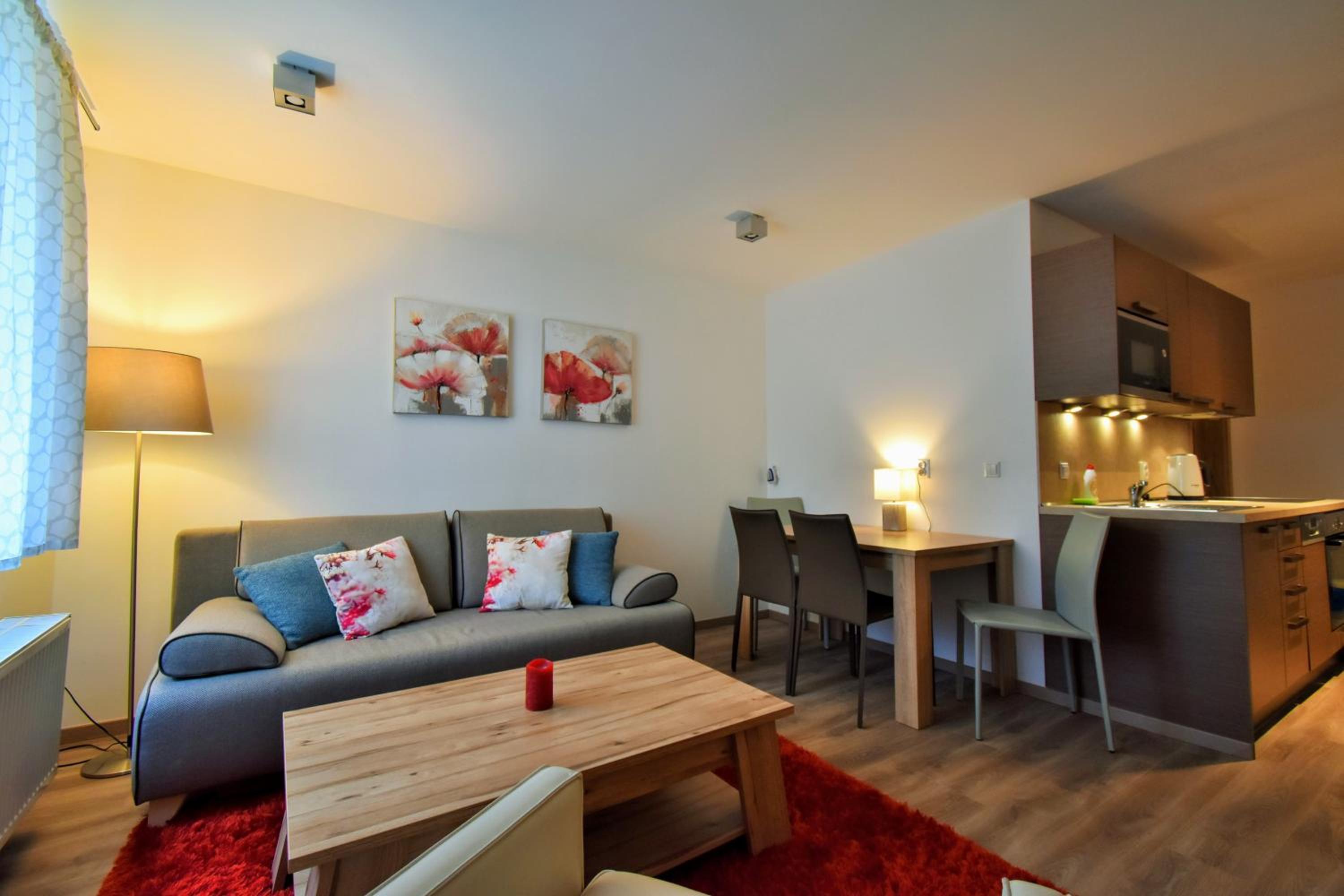 Apartment Dalibor II with private entrance and private garage