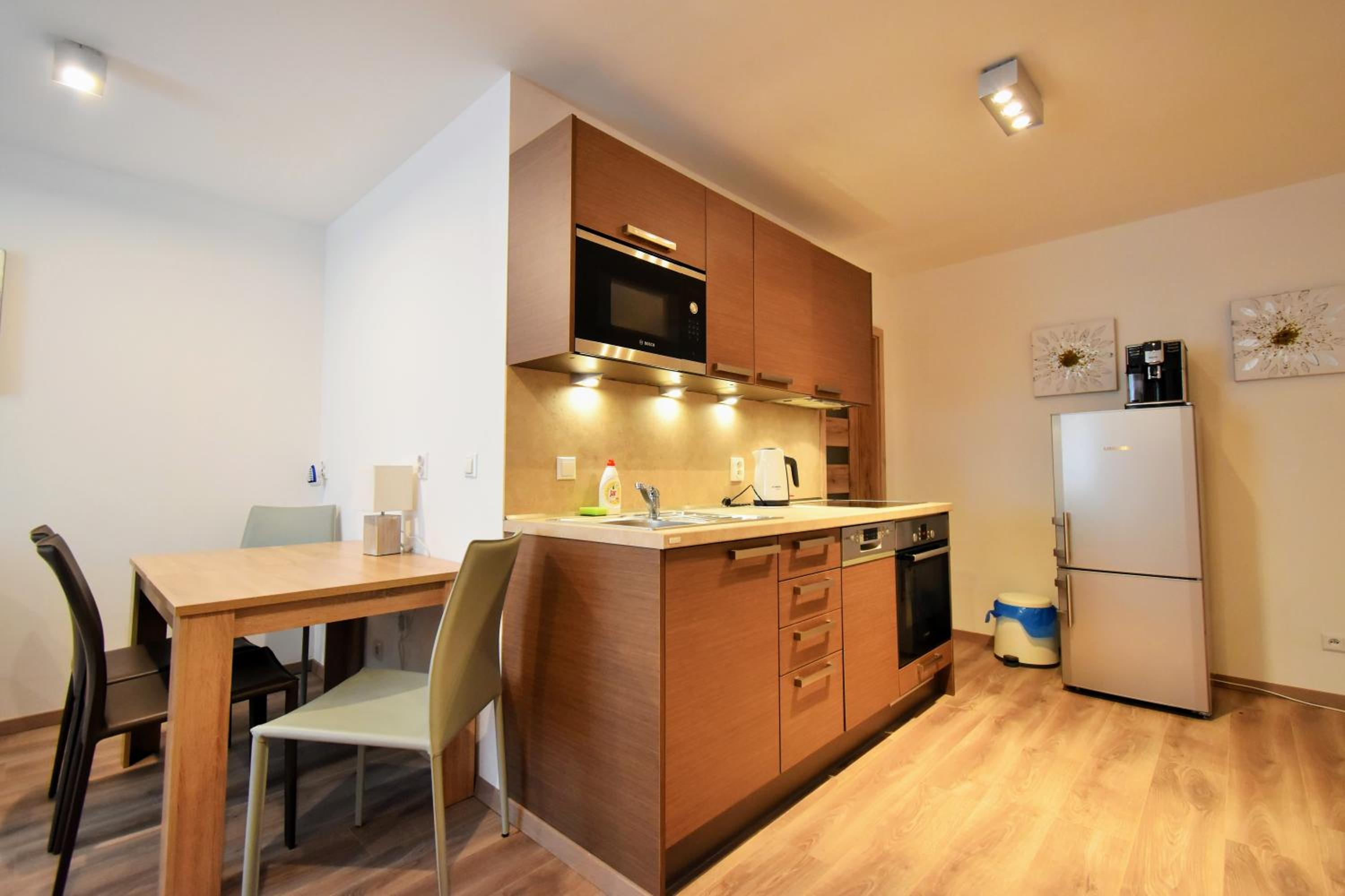 Apartment Dalibor II with private entrance and private garage
