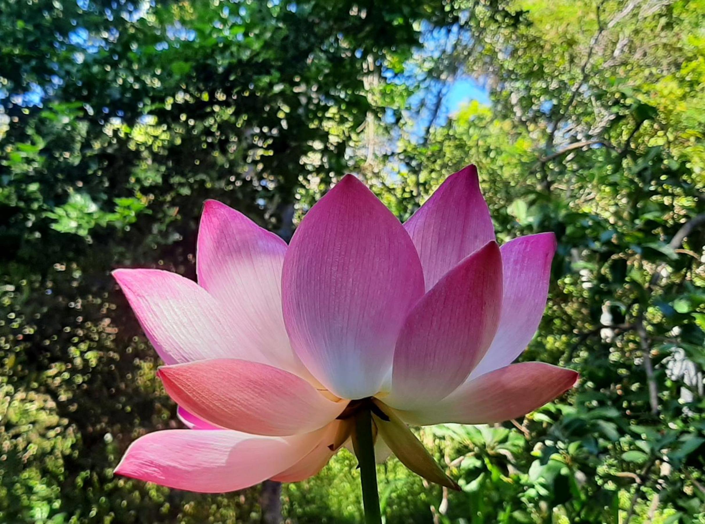 Casa Flor da Vida - Vale do Capao