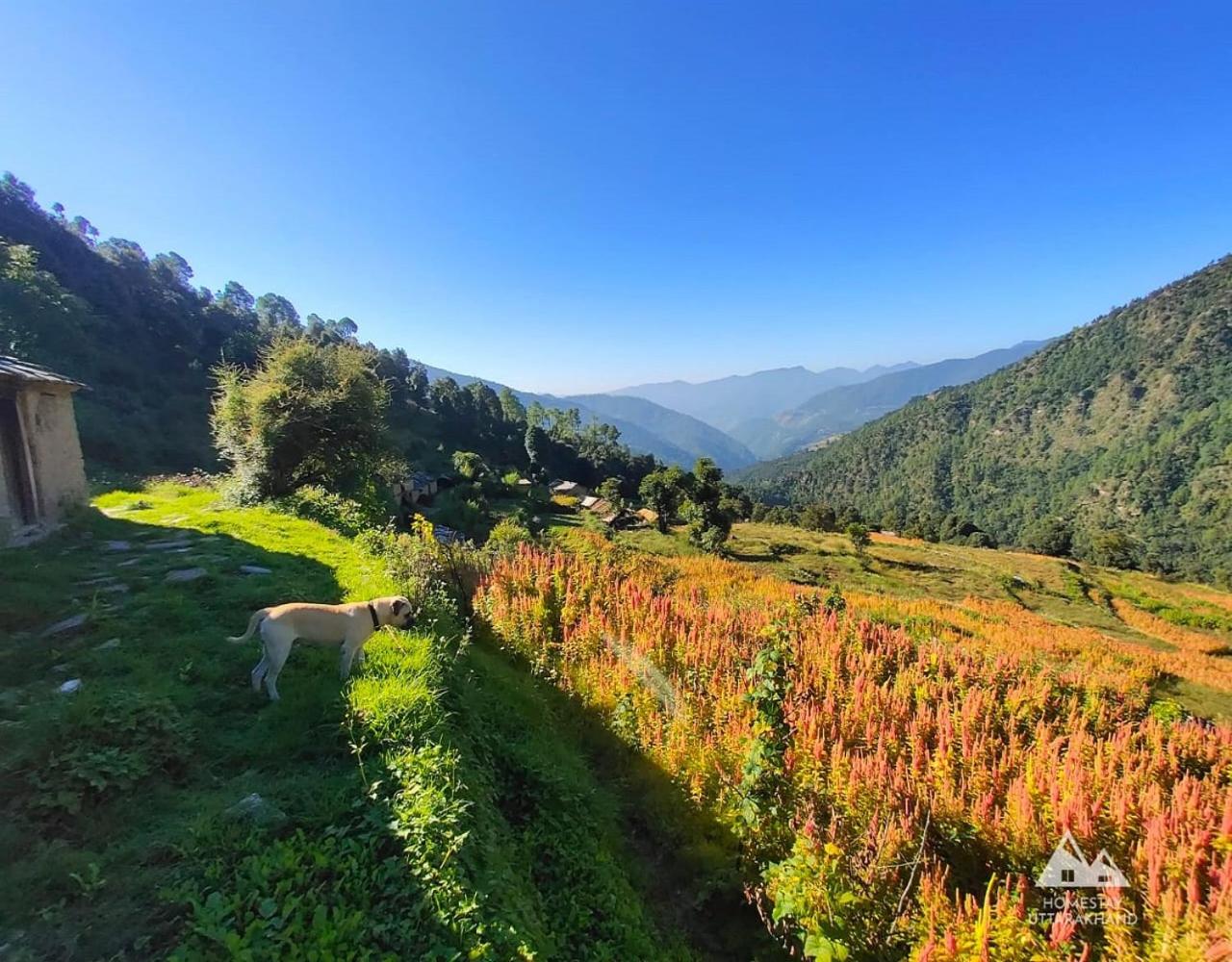 Bursol Homestay by StayApart view 5